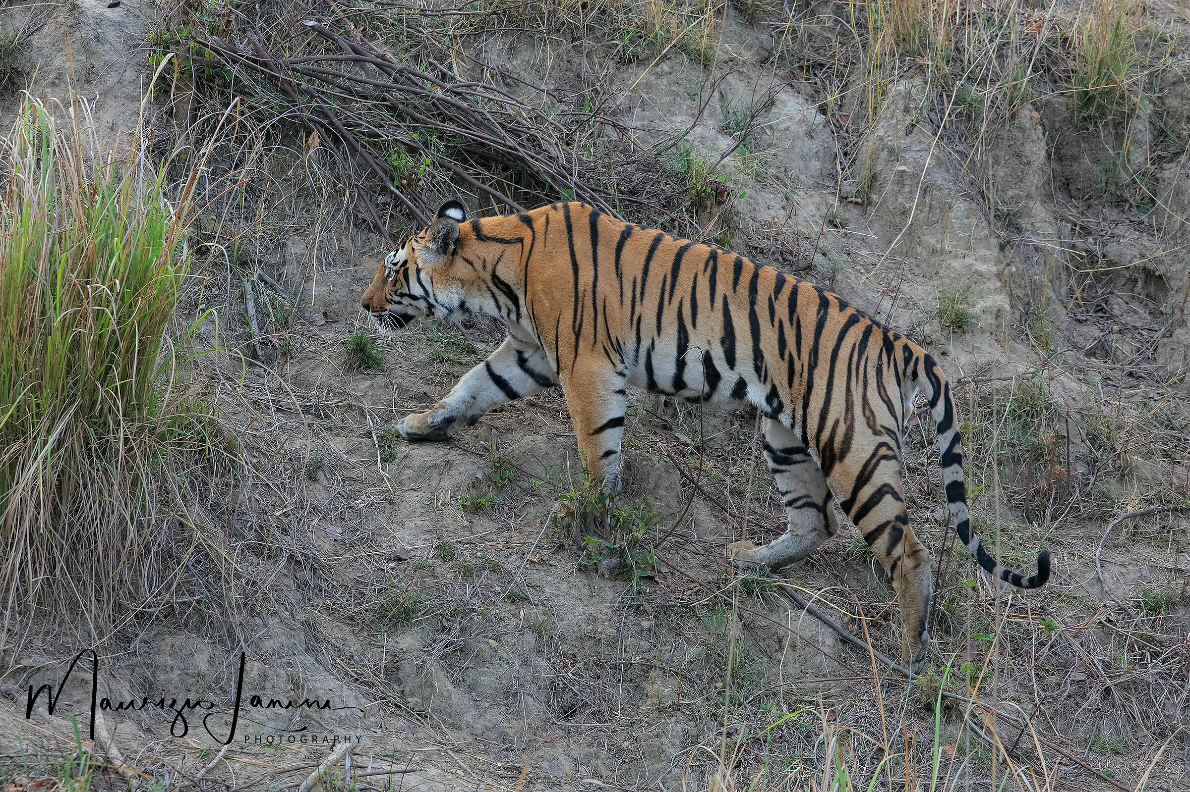 Towards a pool of water