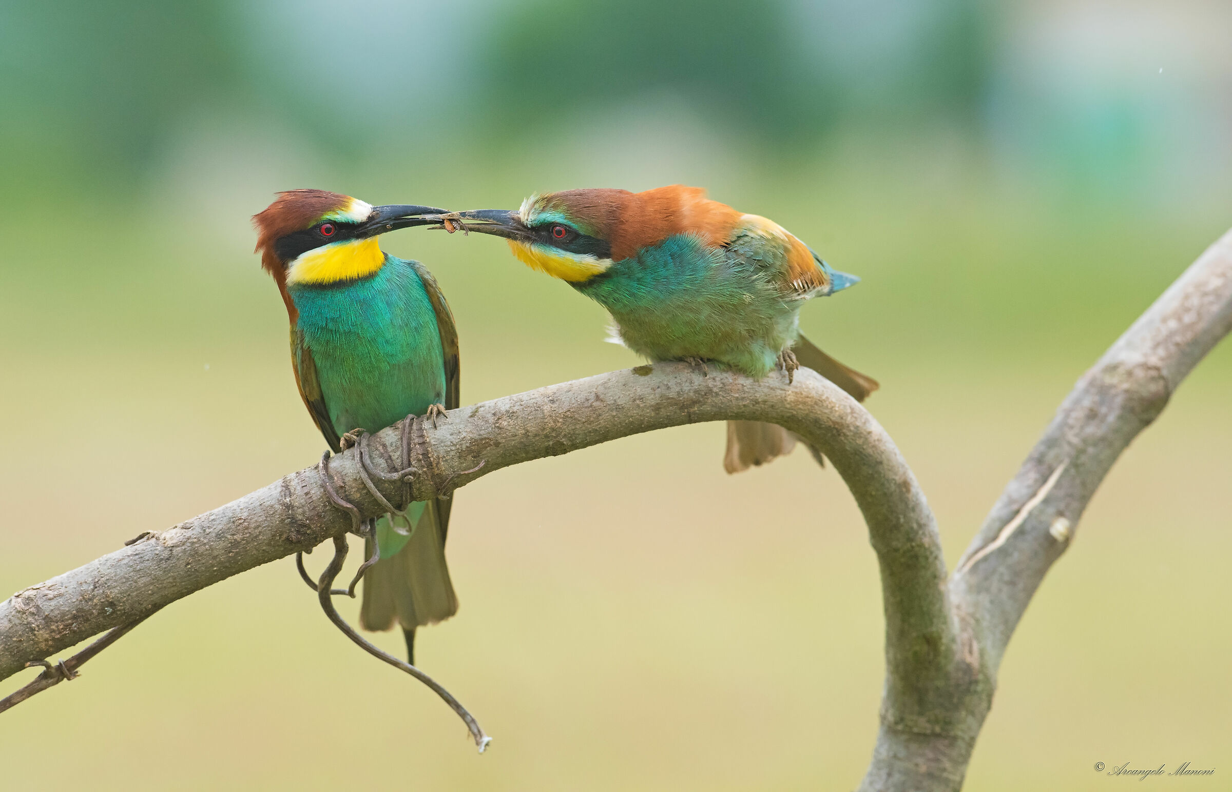 Nel segno dell'amore e della fatica