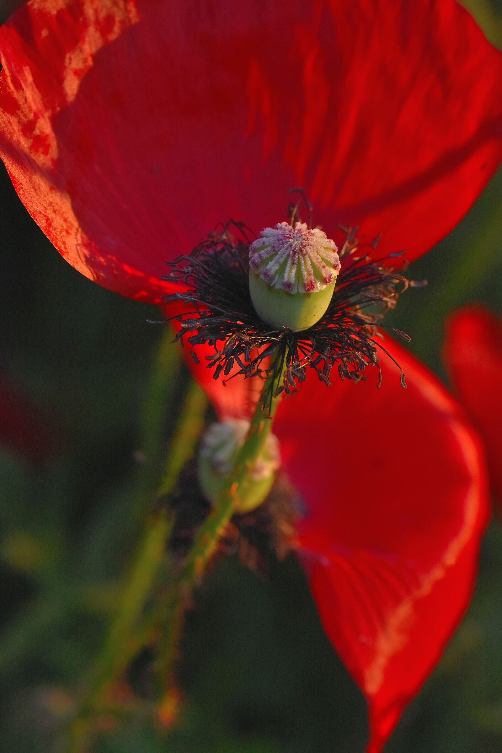 Perfection is not of this world