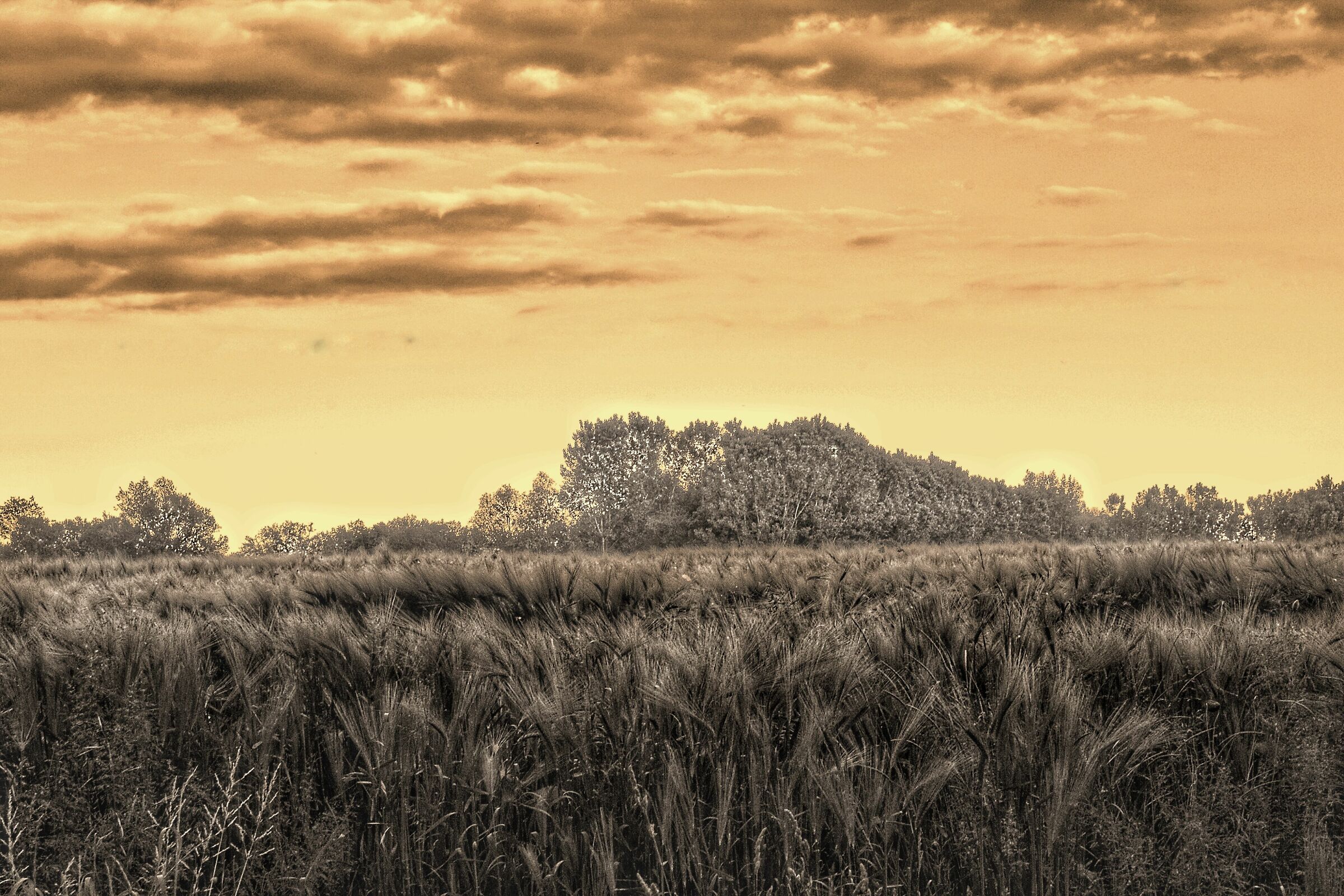 Untitled Photo