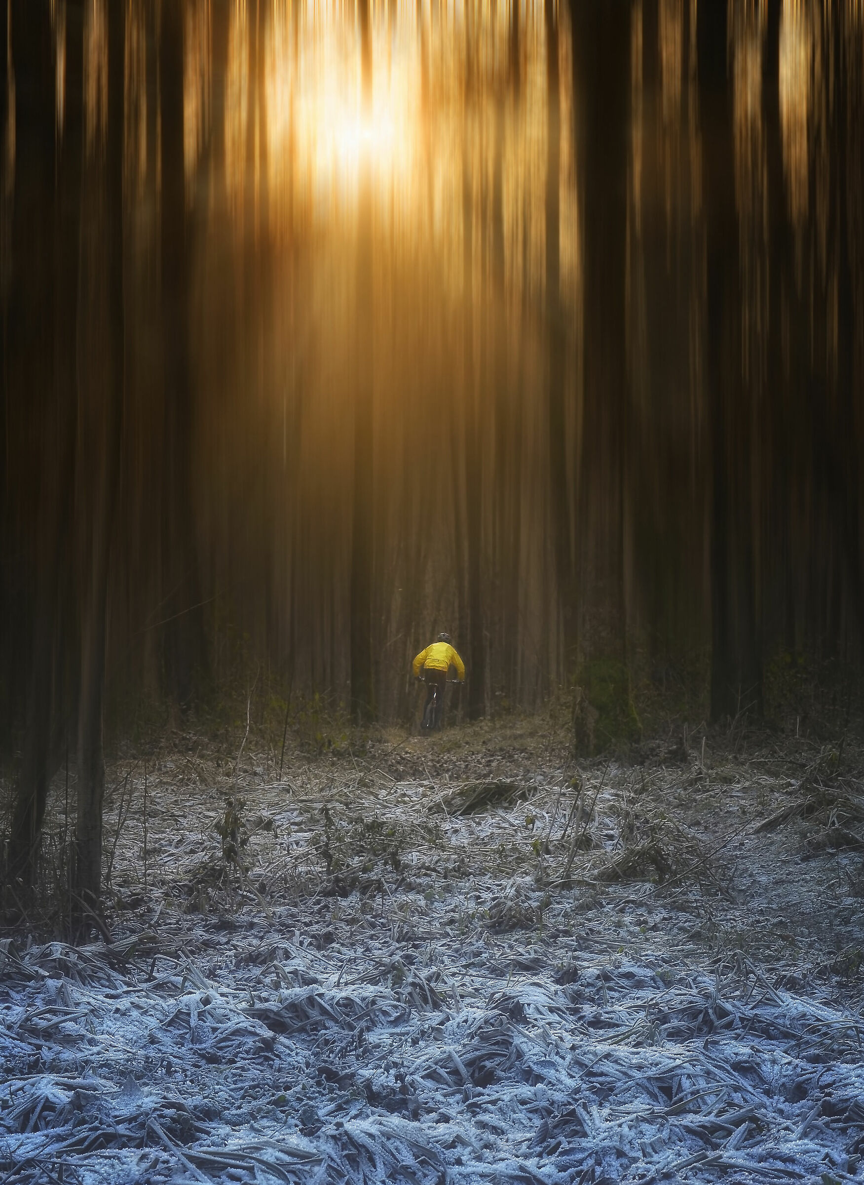 Fleeing from reality