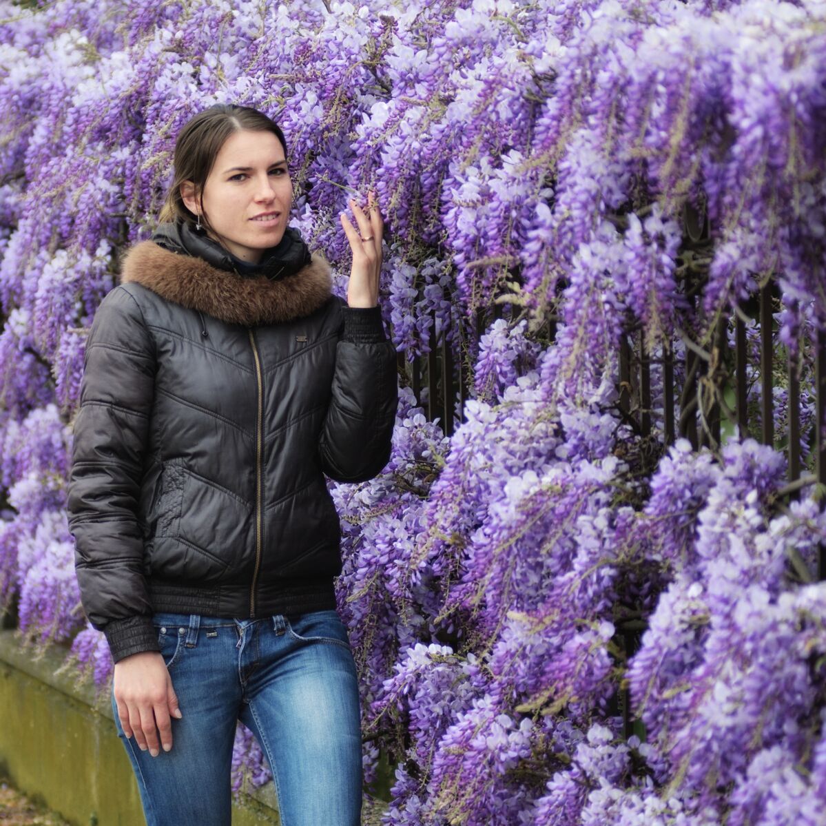 Passeggiando tra i glicini