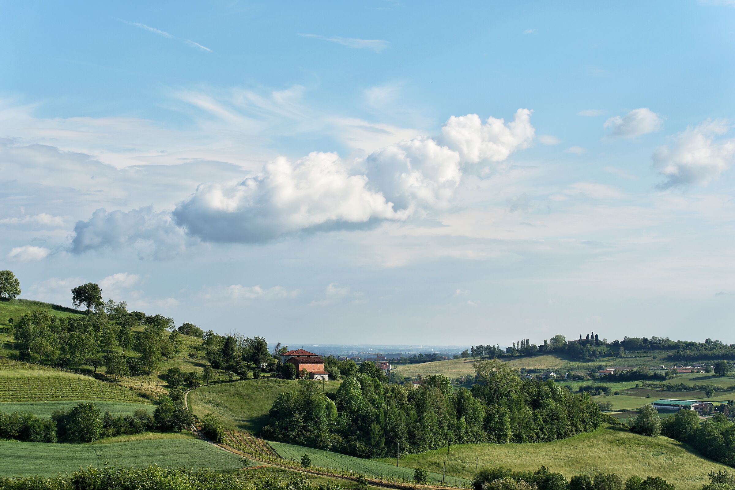 Afternoon in the Hills