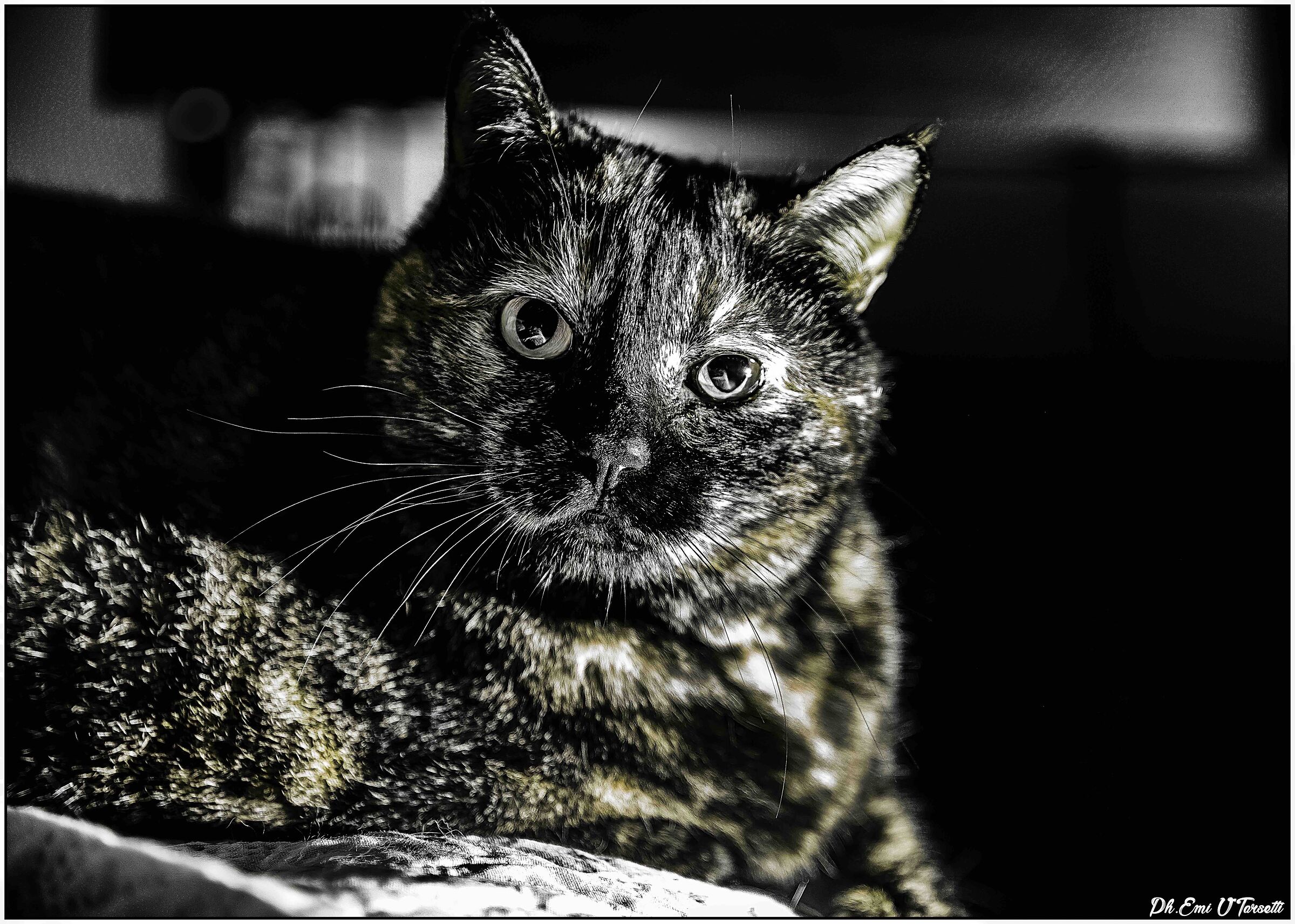 Zoe and her vanity...!