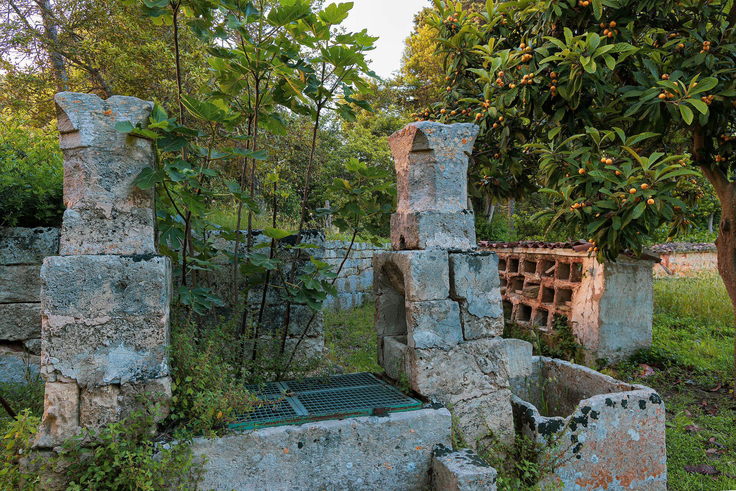 Vecchio pozzo con antiche arnie in pietra