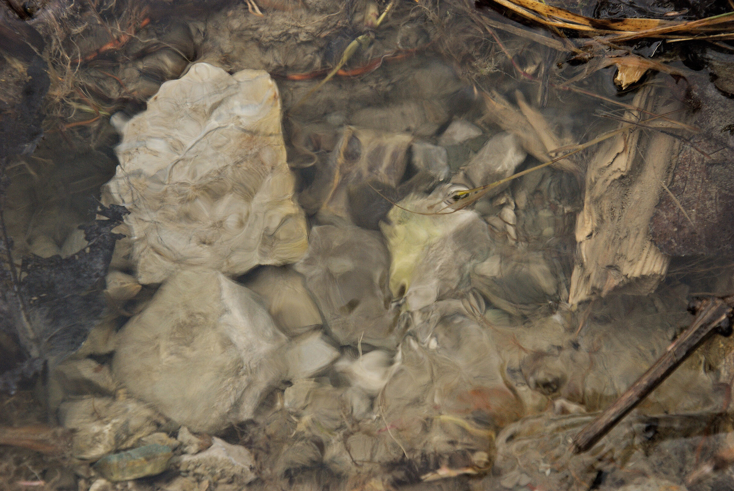 Abstract art from a Rio