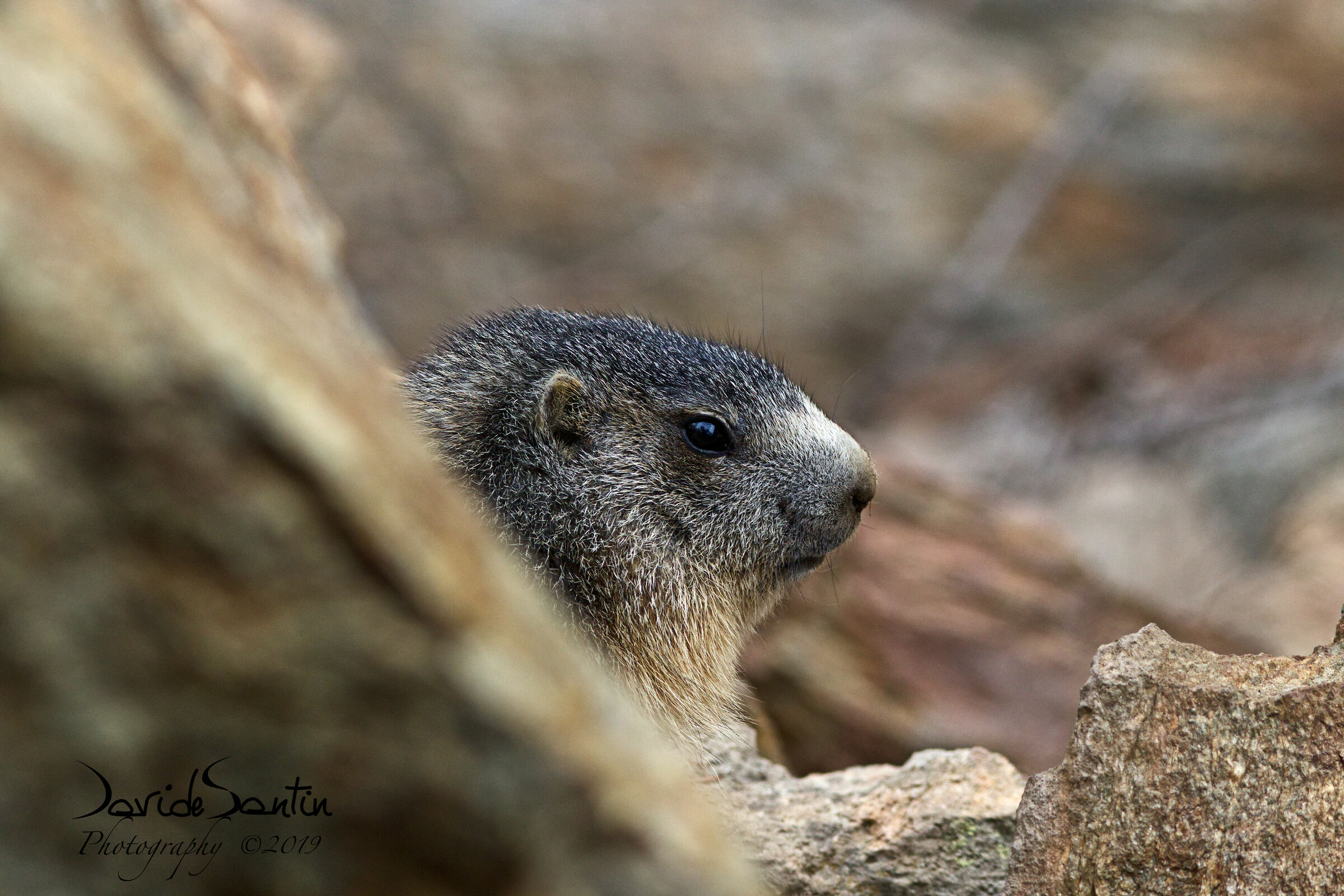 Good morning.... You woke me up!