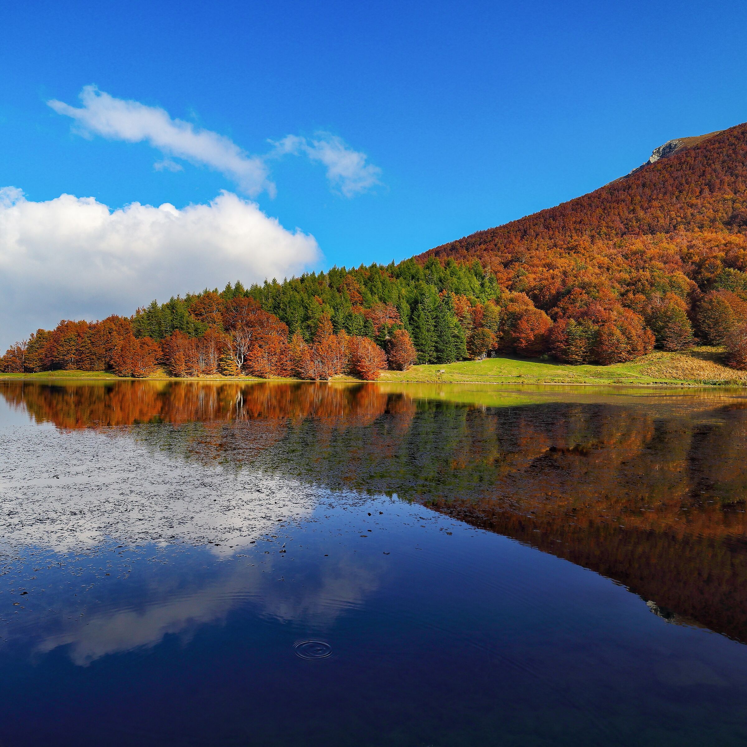 Riflessi d'autunno