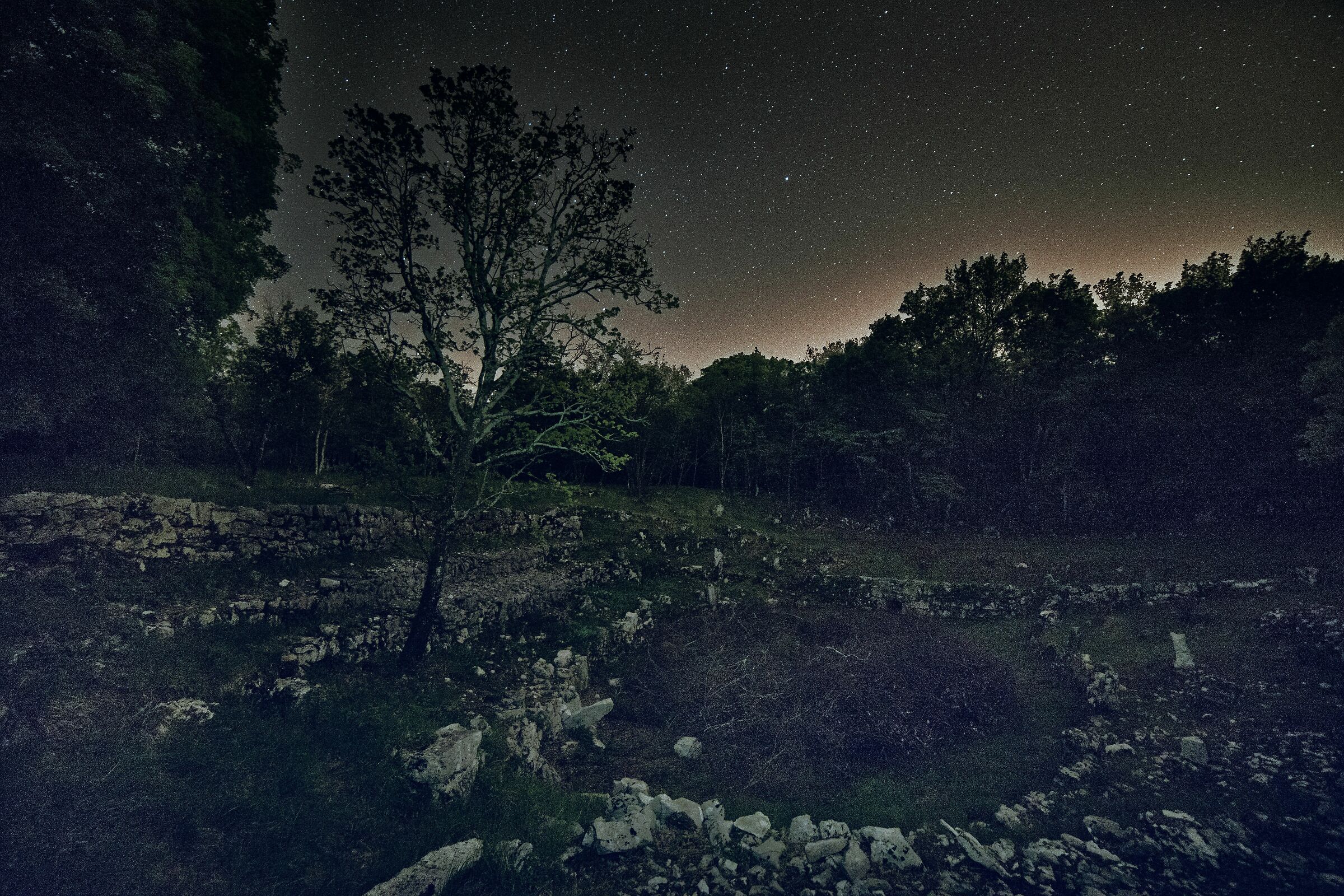 Dolina dei Bogomilli-Karst Trieste