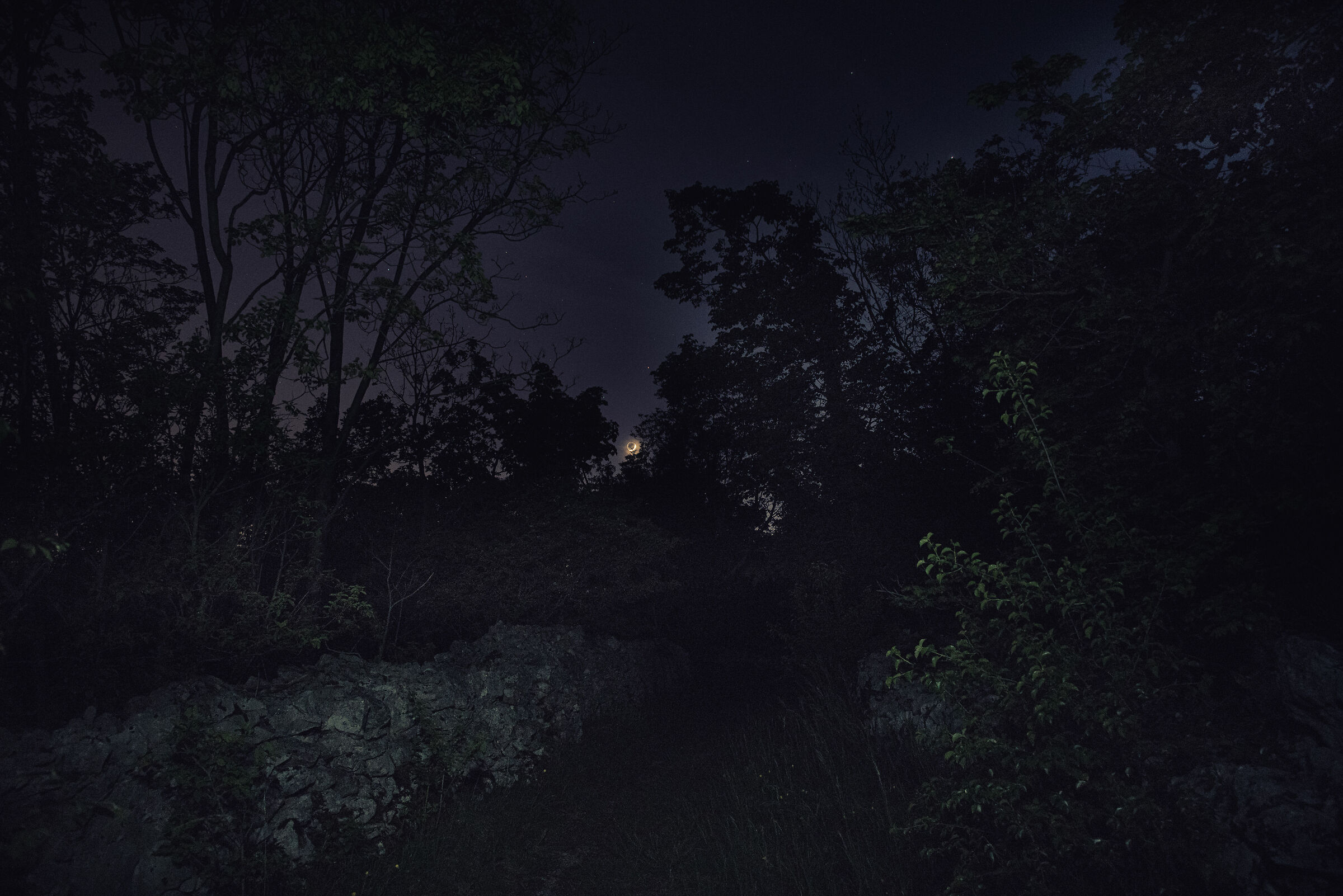 Around the Bogomilli Dolina