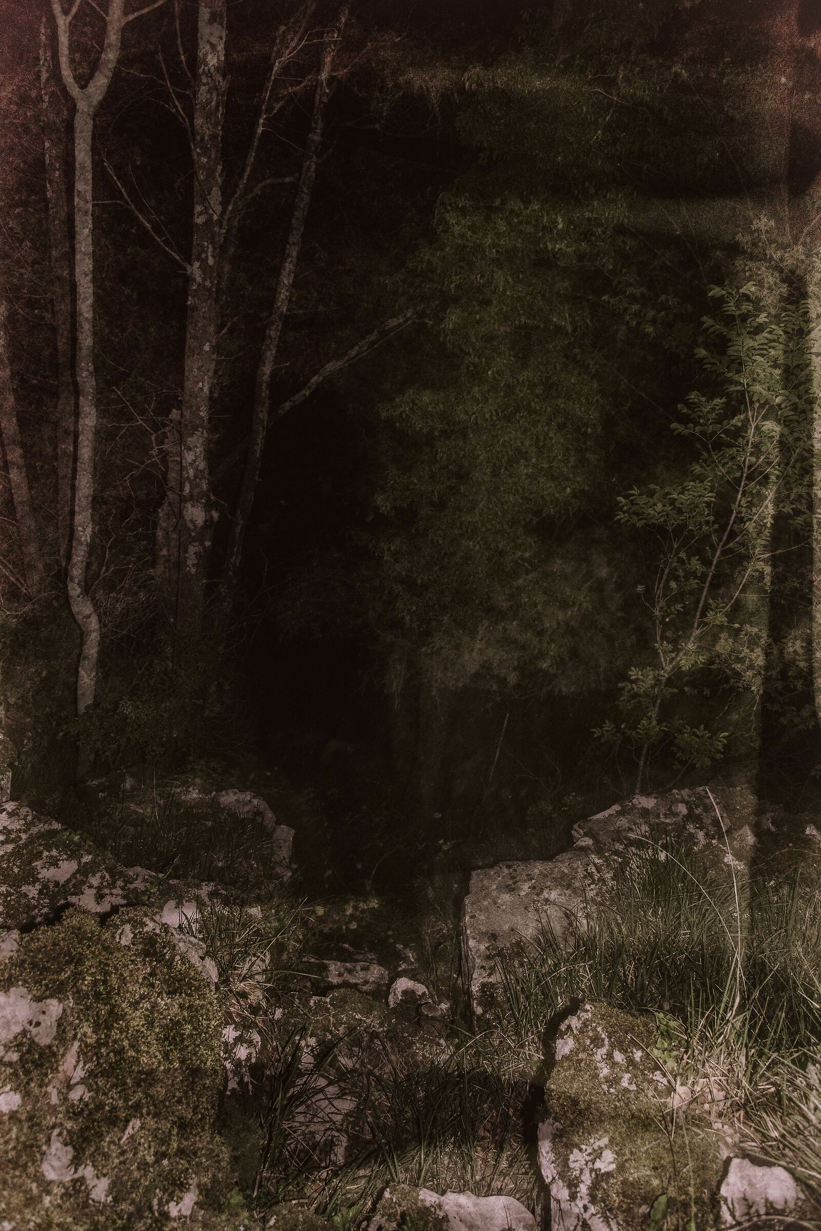 Around the Bogomilli Dolina