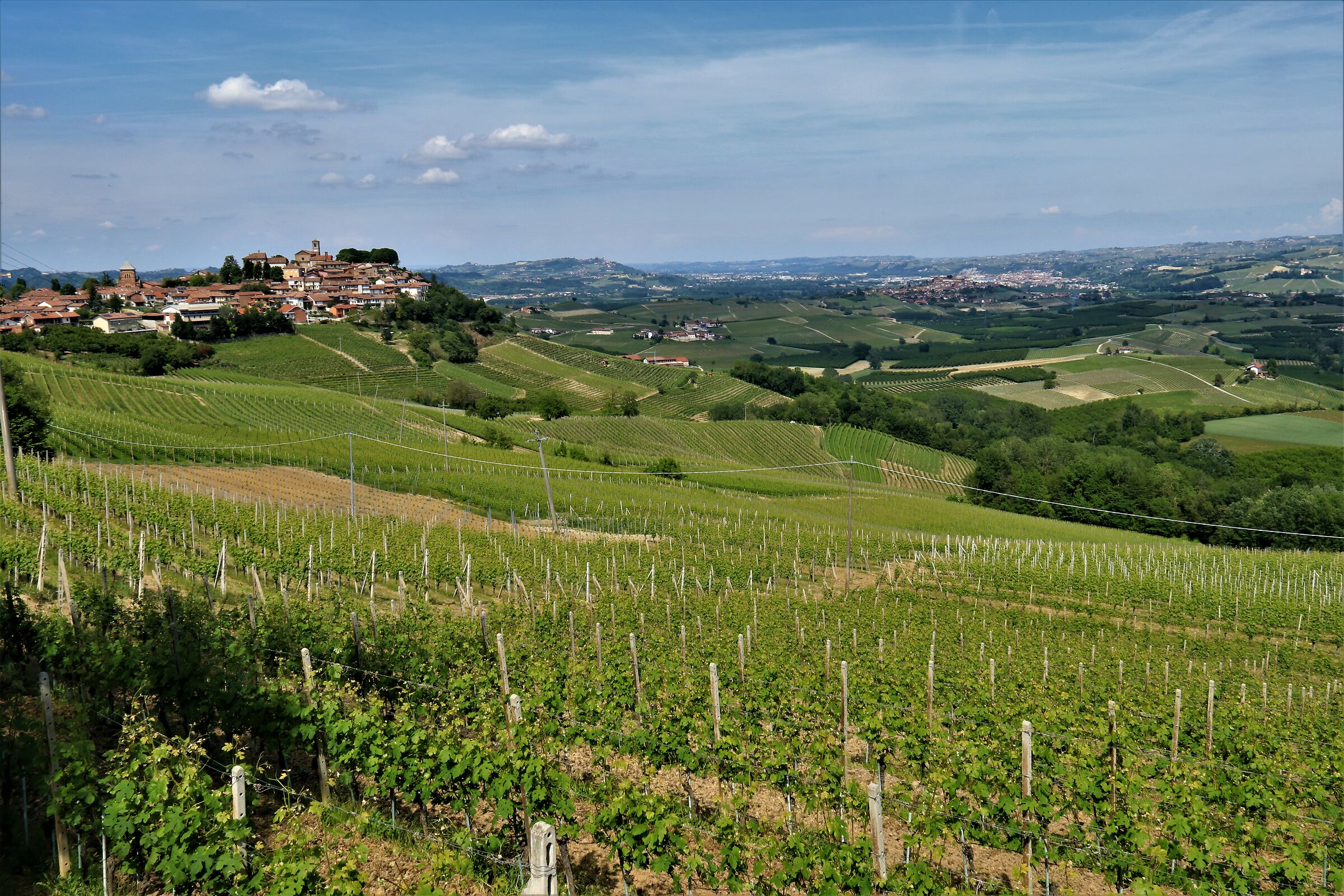 Verduno and its vineyards