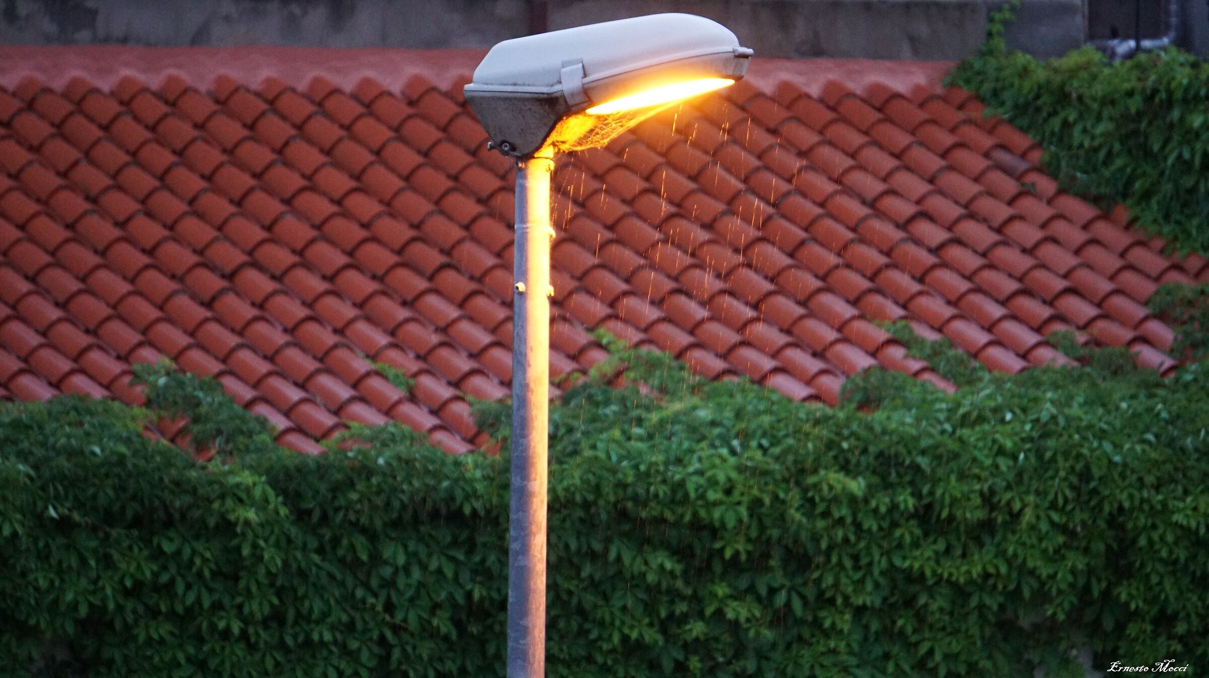 un Inizio di Giornata, Apparentemente Senza Senso