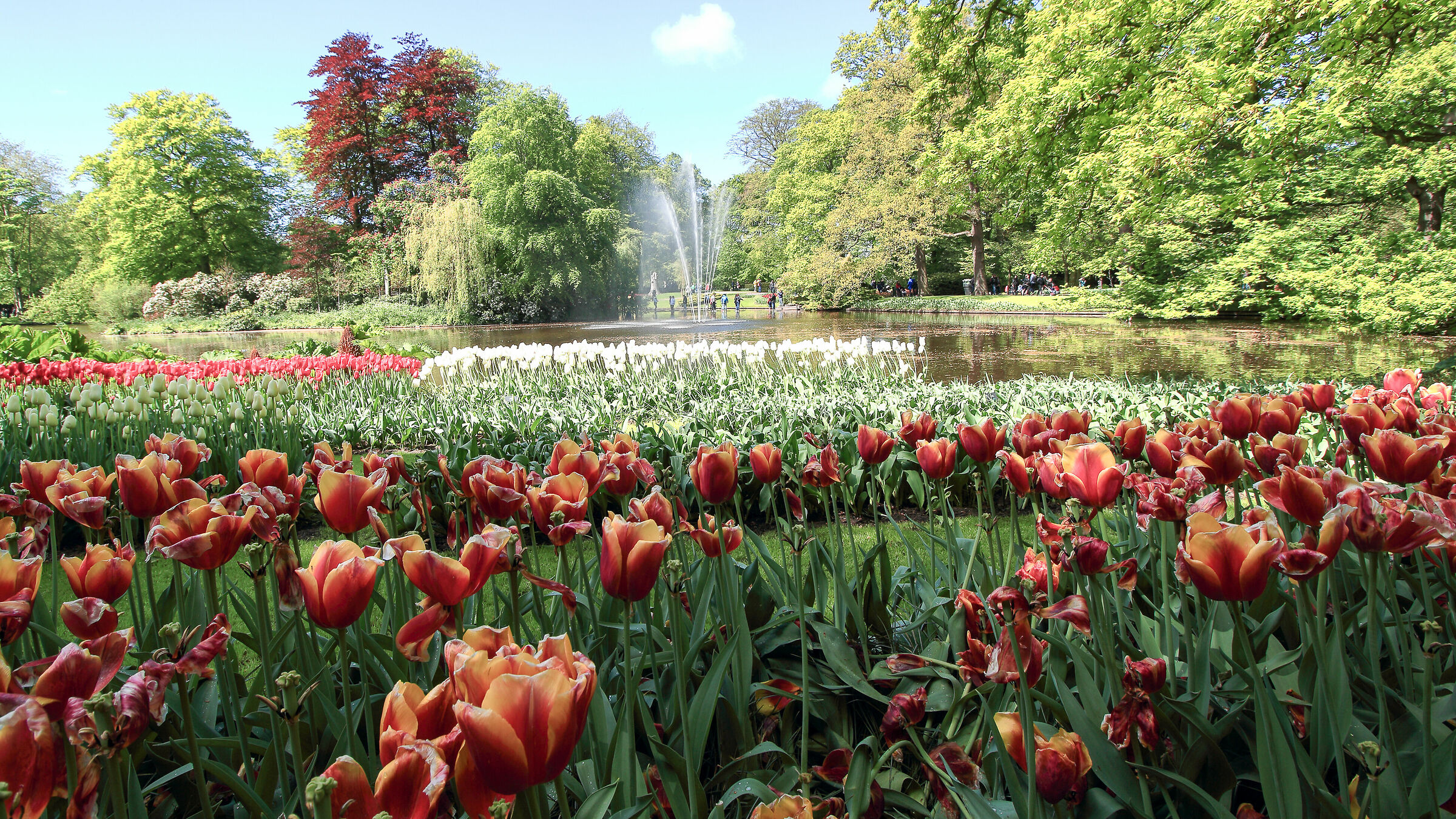 Keukenhof