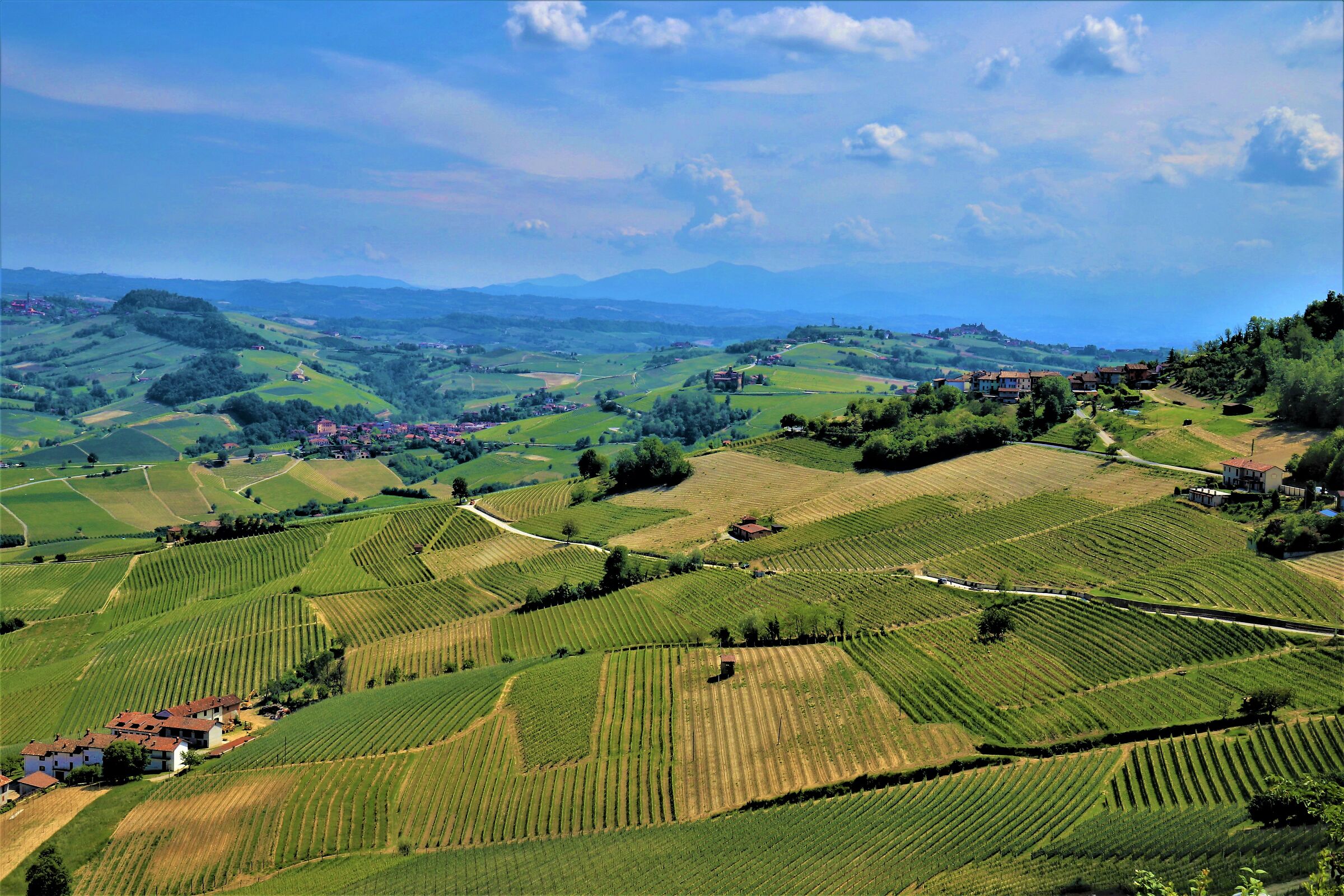 Panorama of the hills of La Morra
