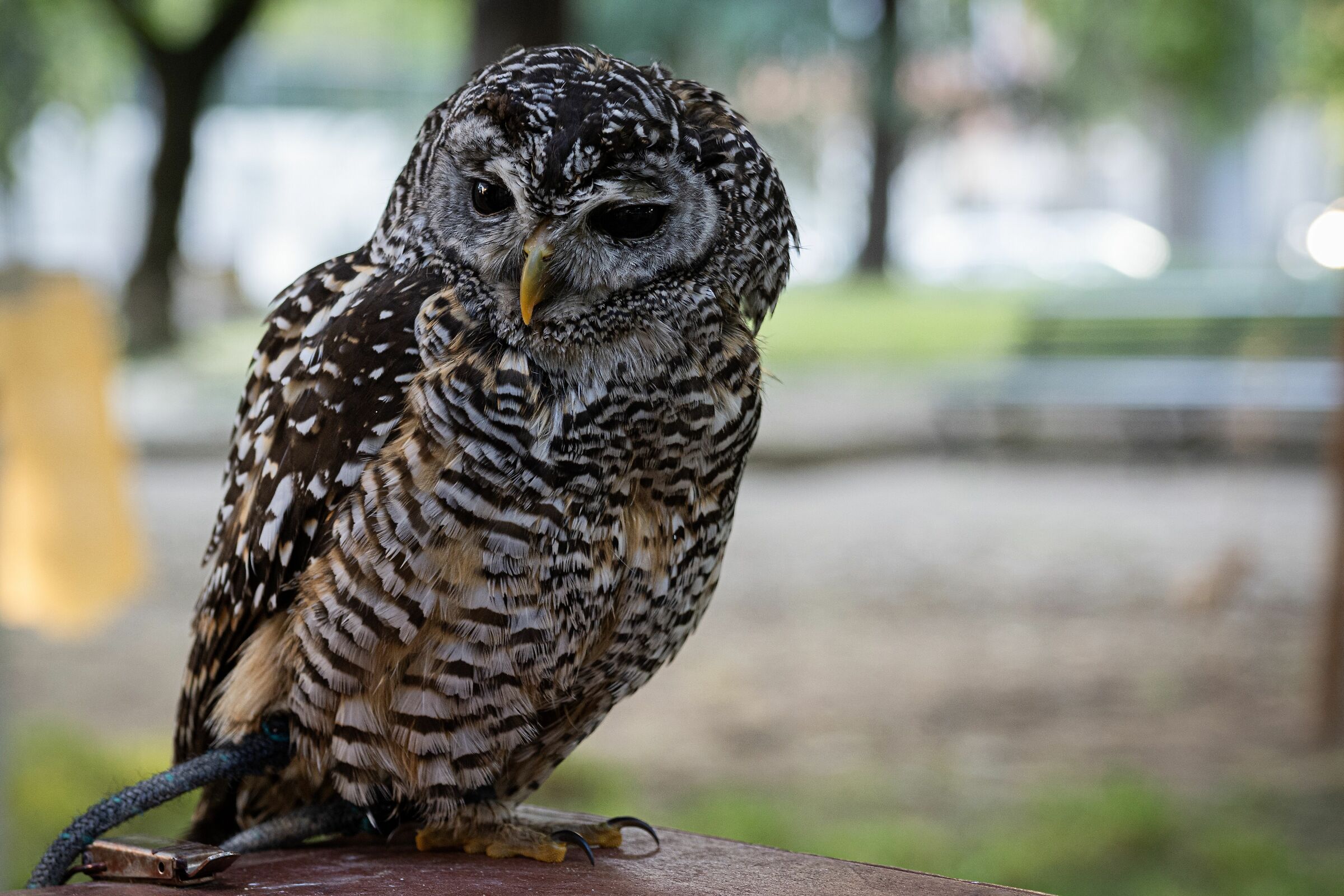 How perfect is nature?