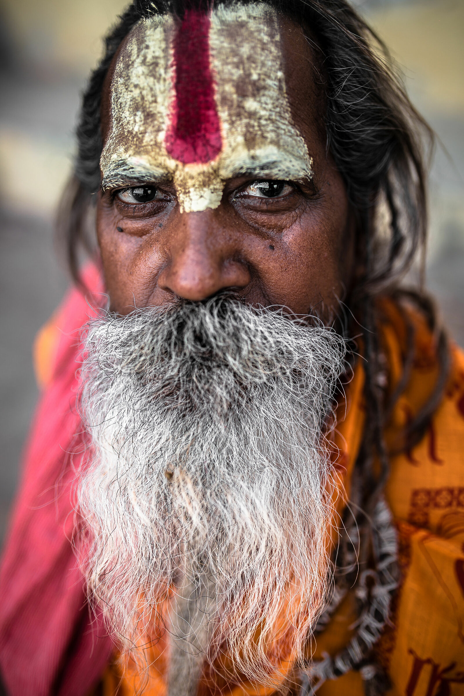 Il Sadhu del Gujarat
