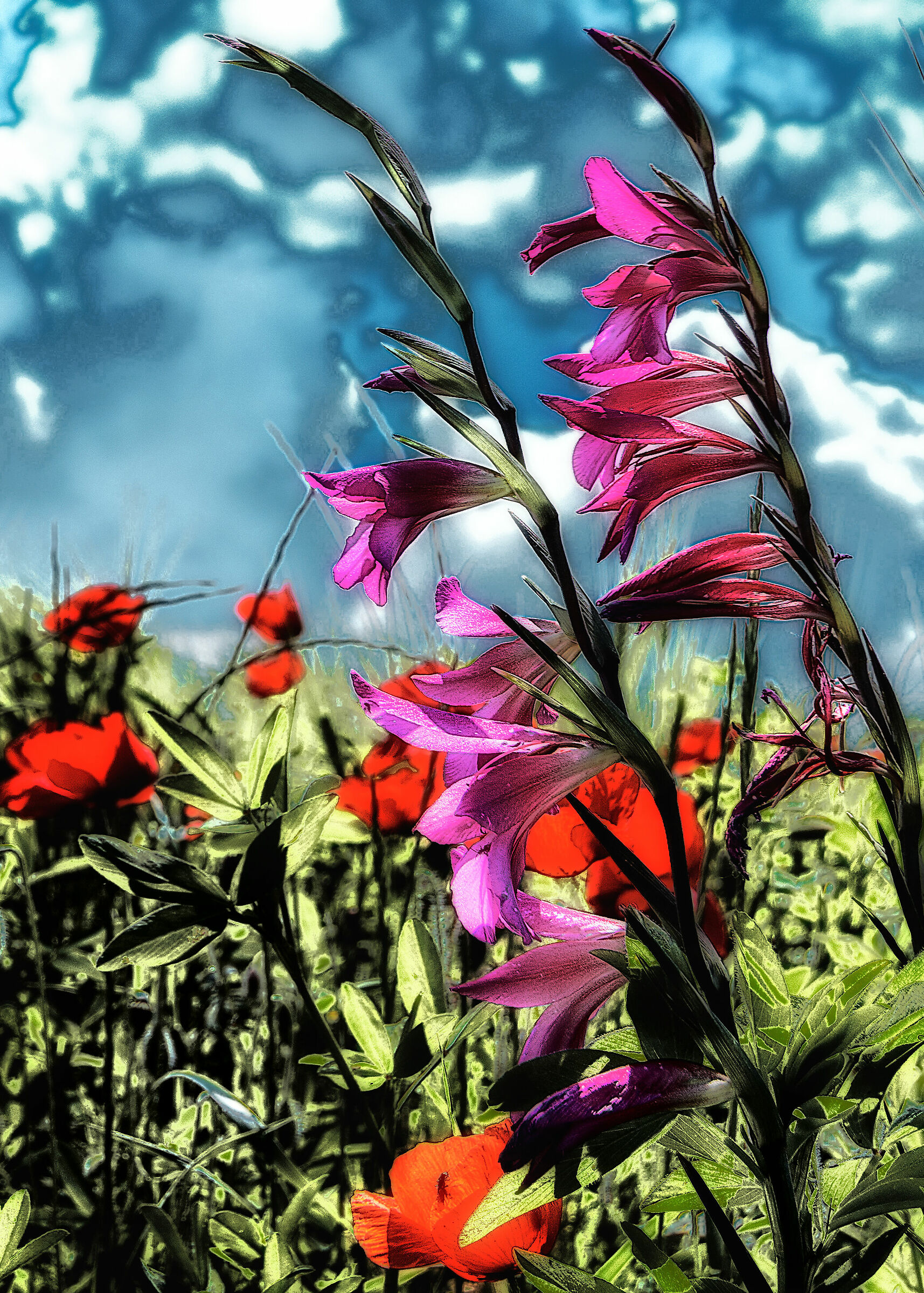 mia moglie mi ha detto cosa sono ma non mi ricordo