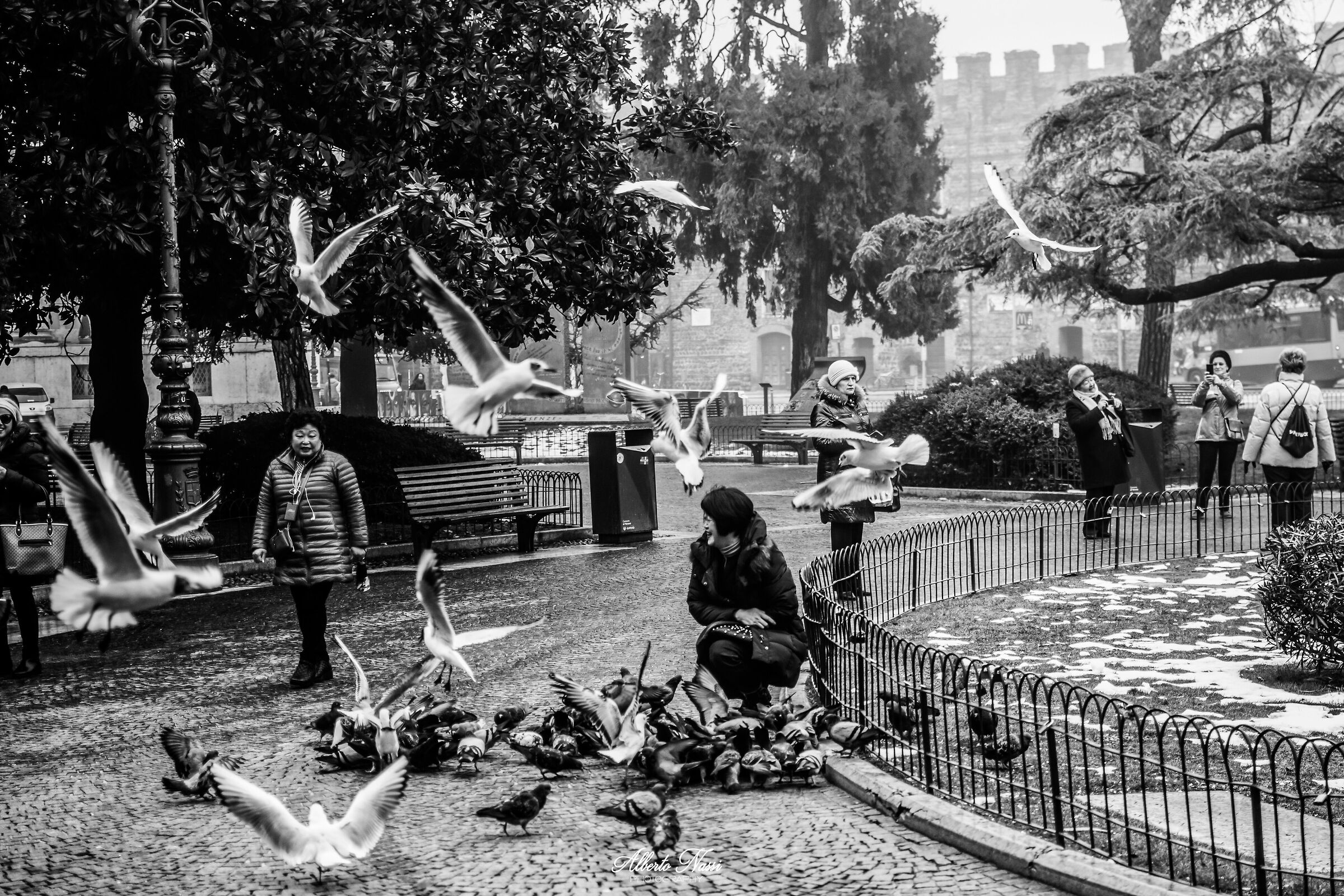 Souvenir Photos-Verona