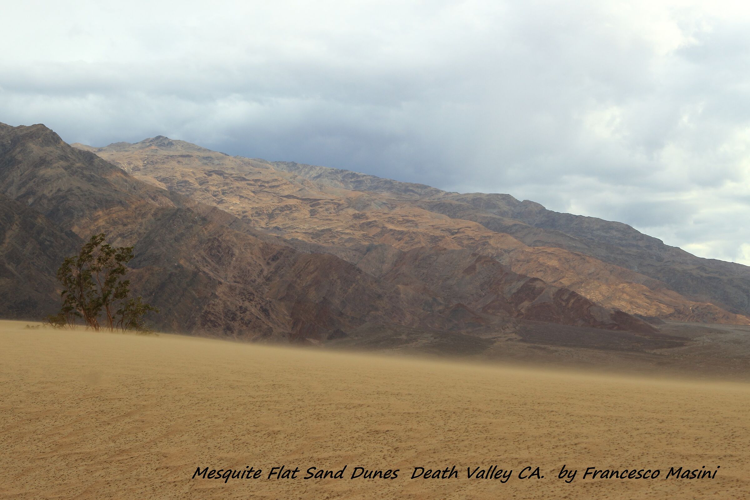 Death Valley Dunes