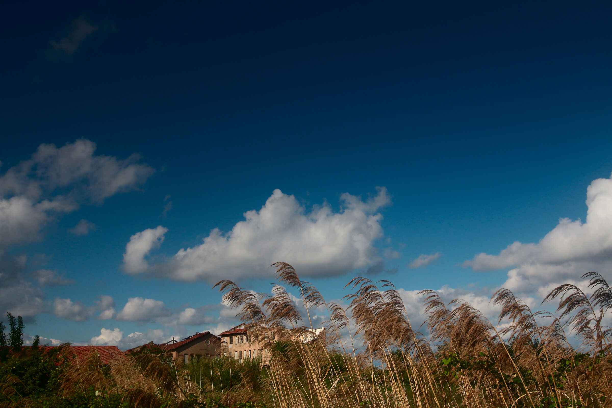 Bonifica pianura veneta