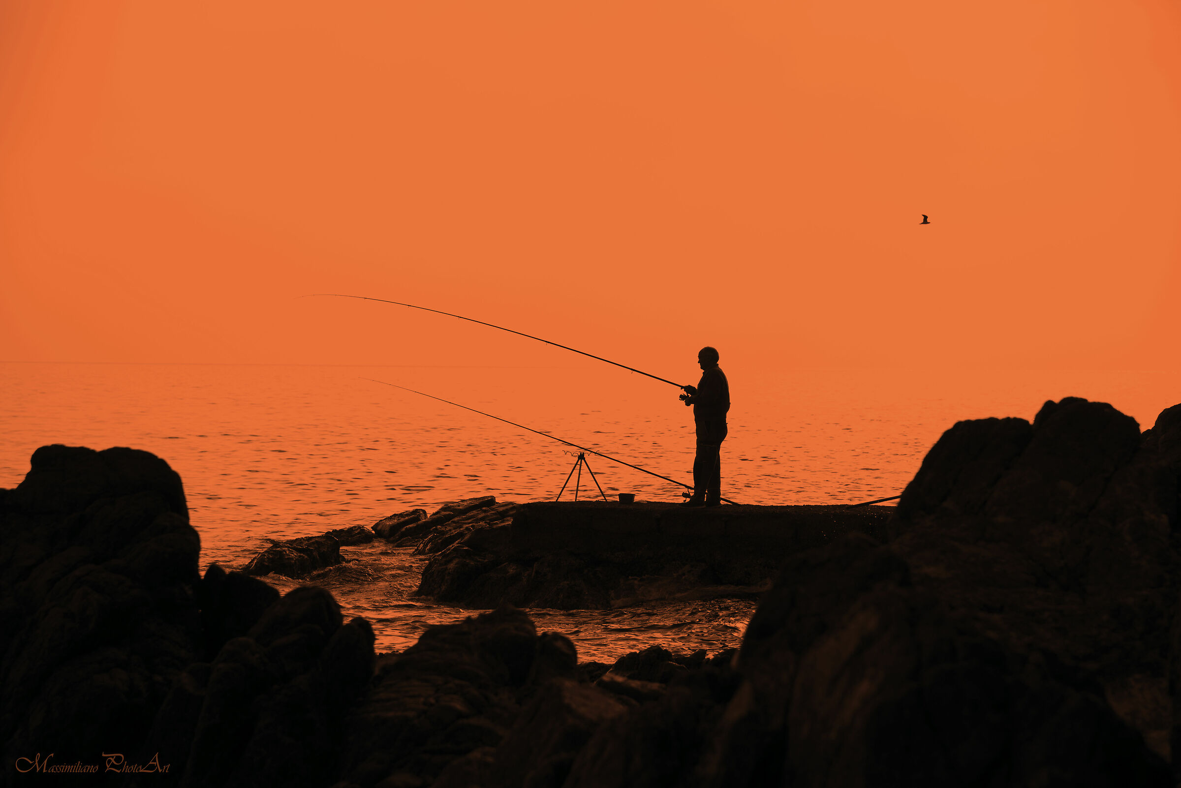 Peace is there, you just have to look for it in you