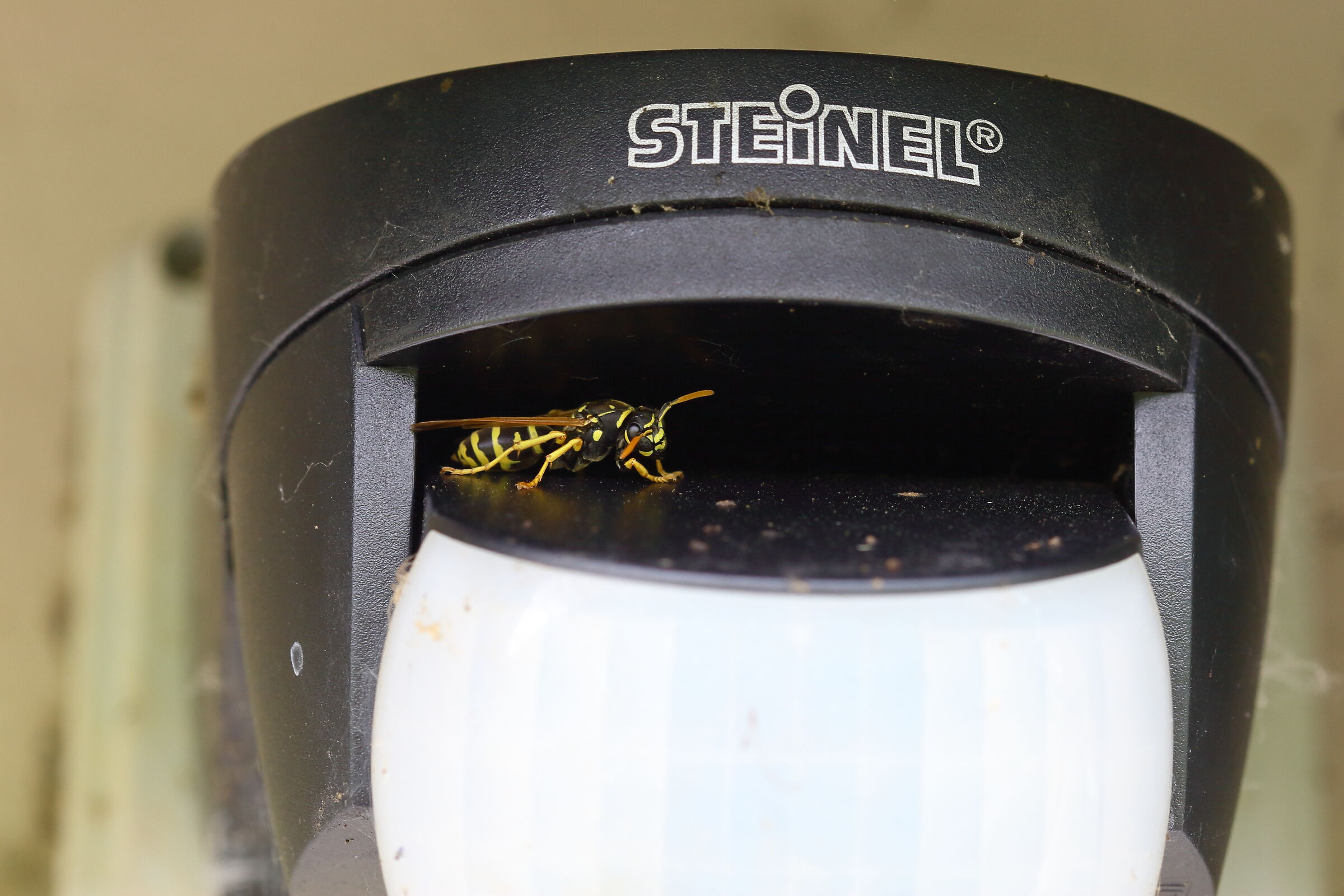 fotocellula di sicurezza con ulteriore...sicurezza!