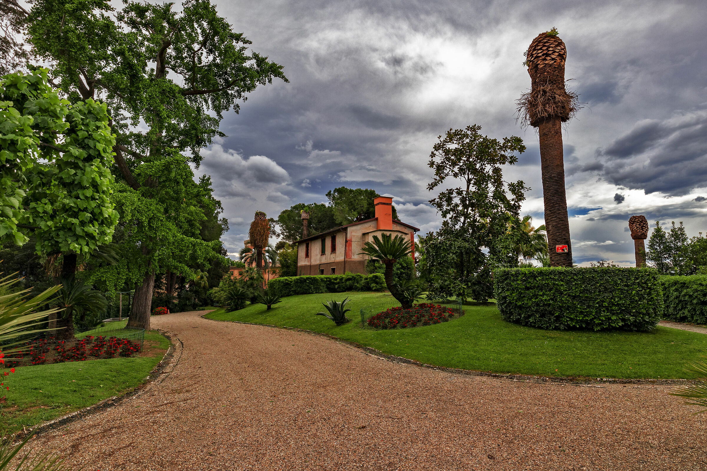 Un requiem per le palme