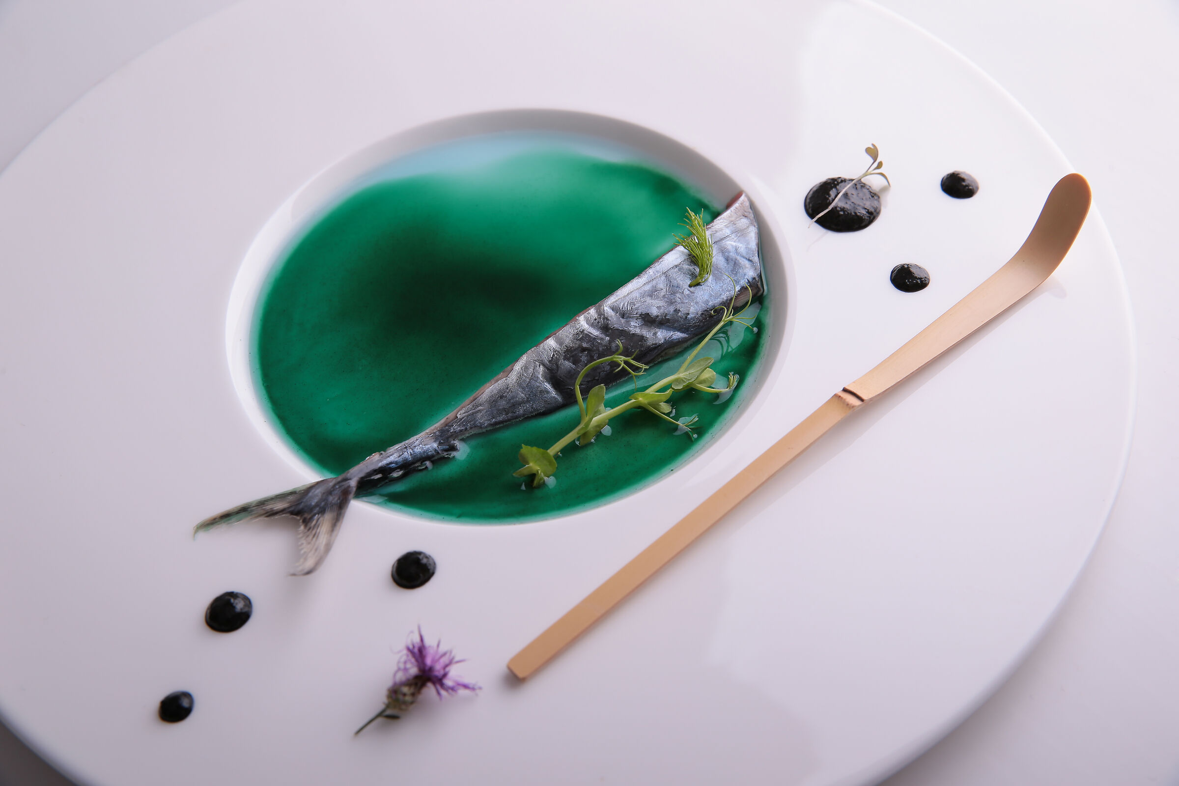 Emerald Sashimi