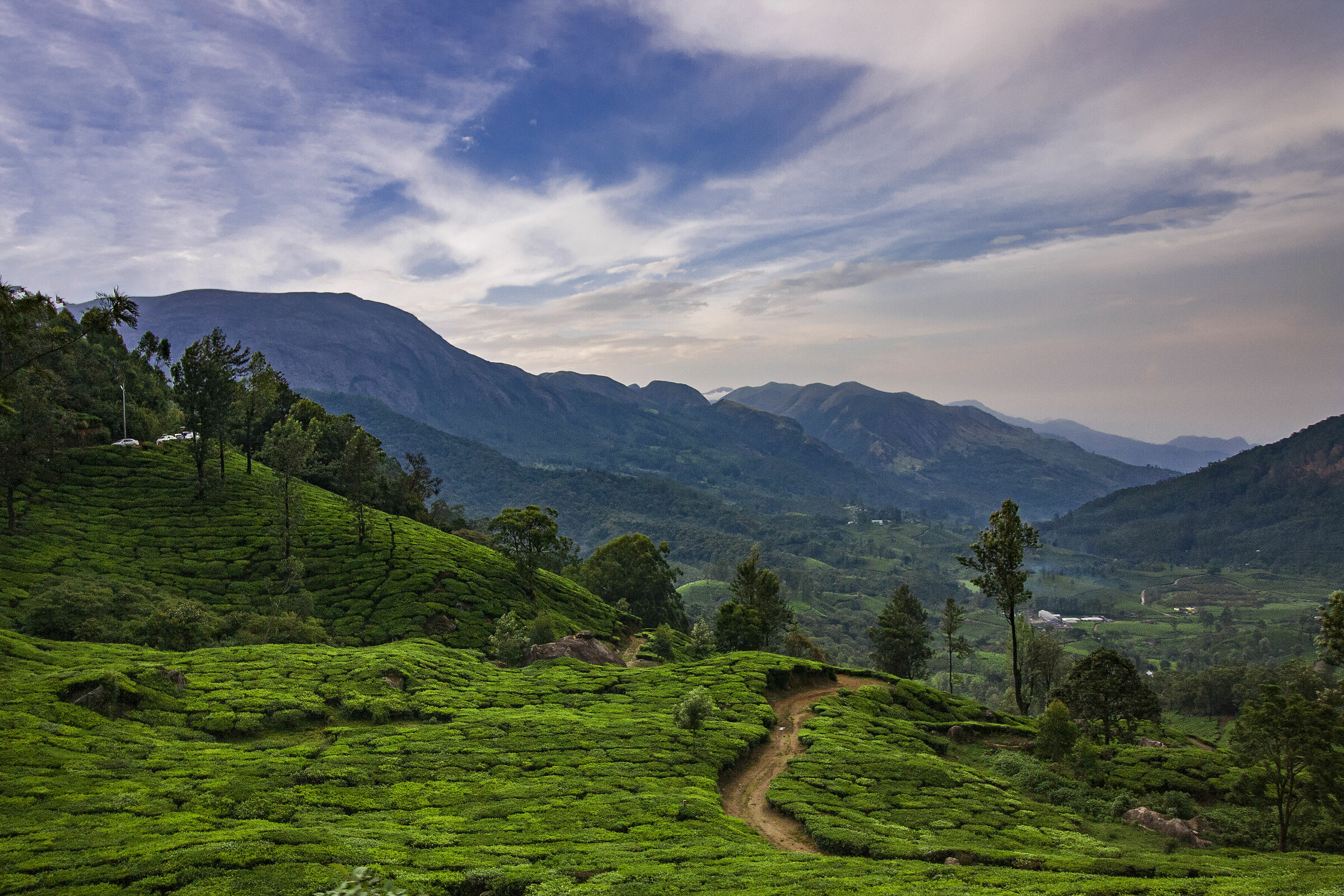 Incantevole Munnar
