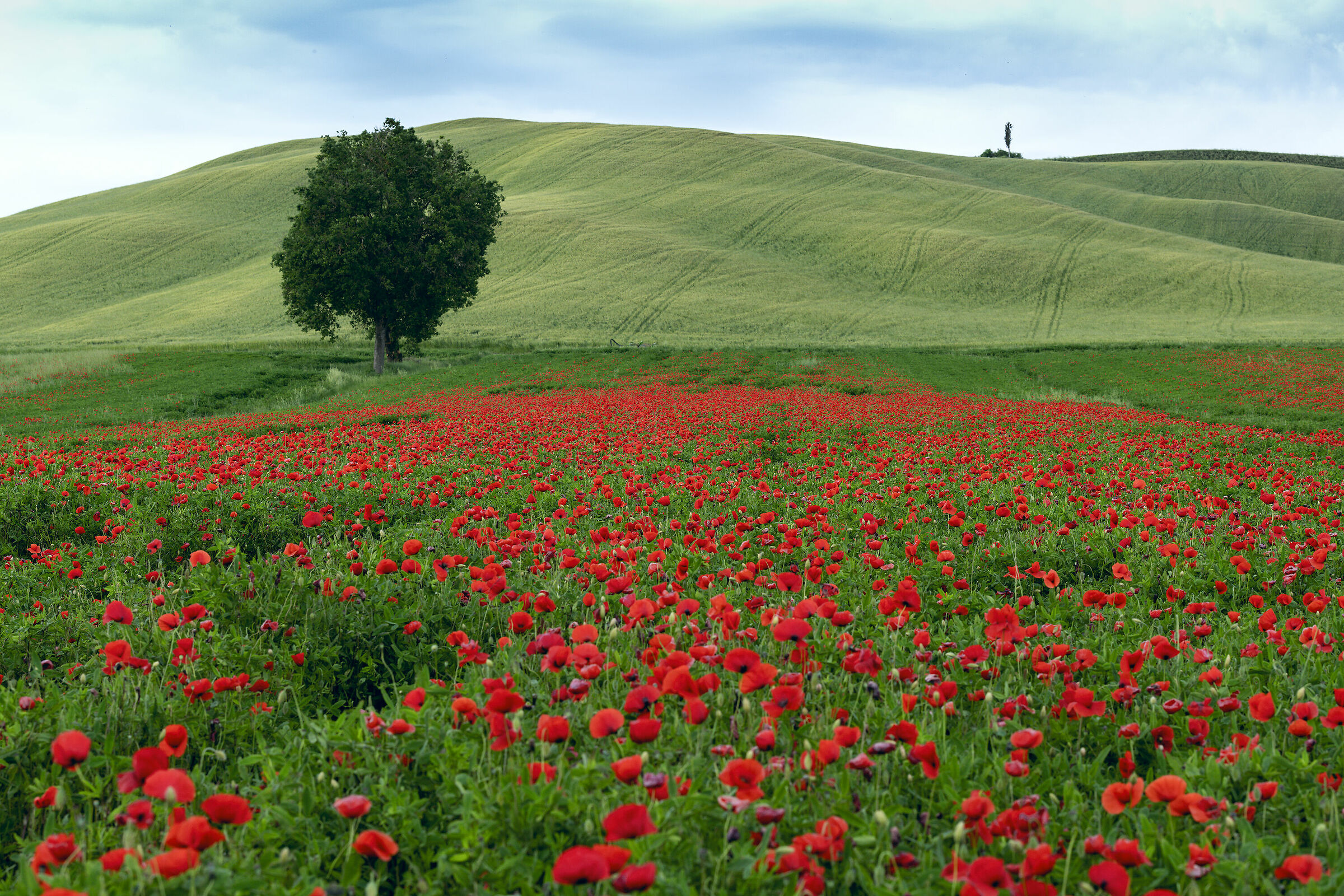 Crete Senesi