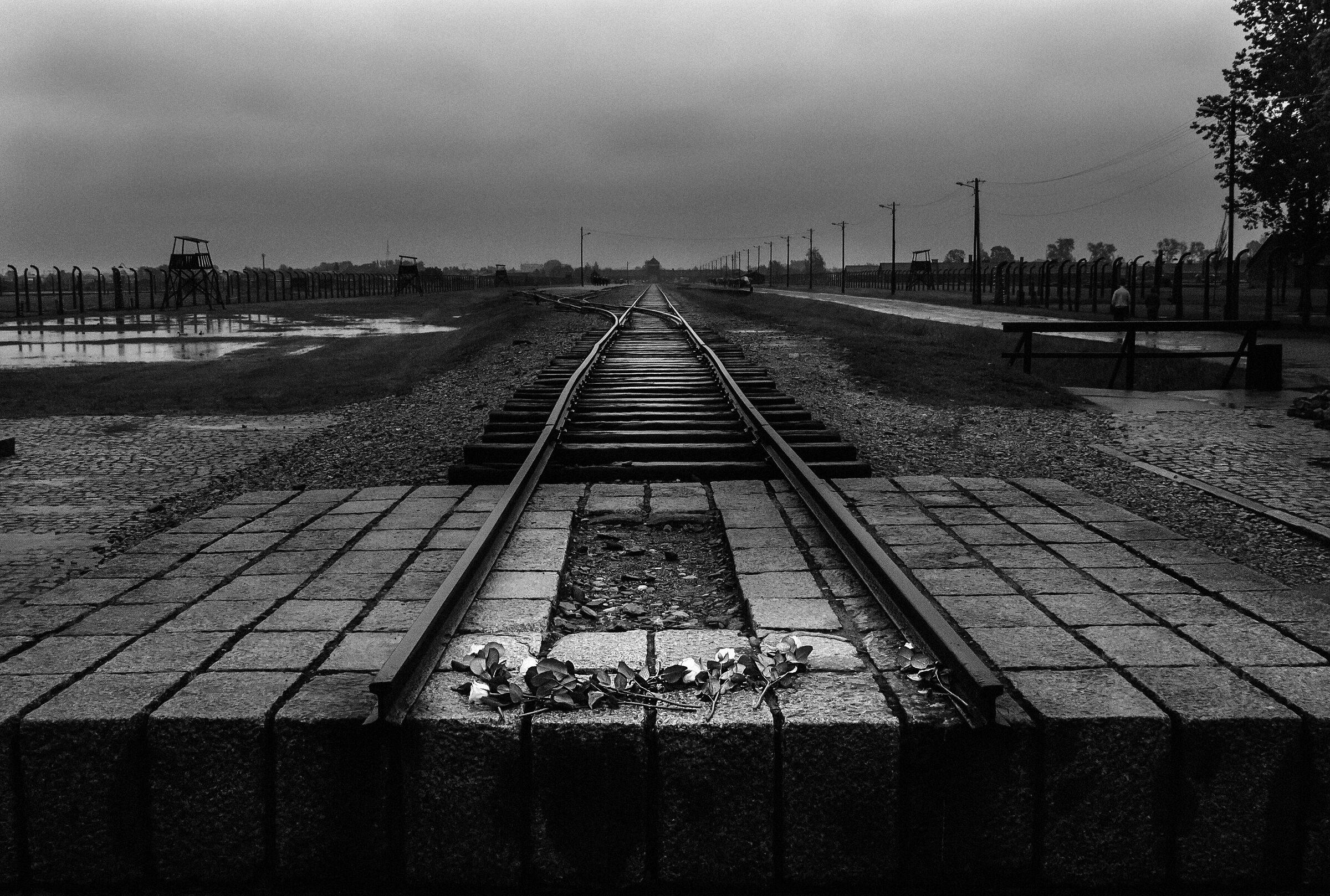 Birkenau