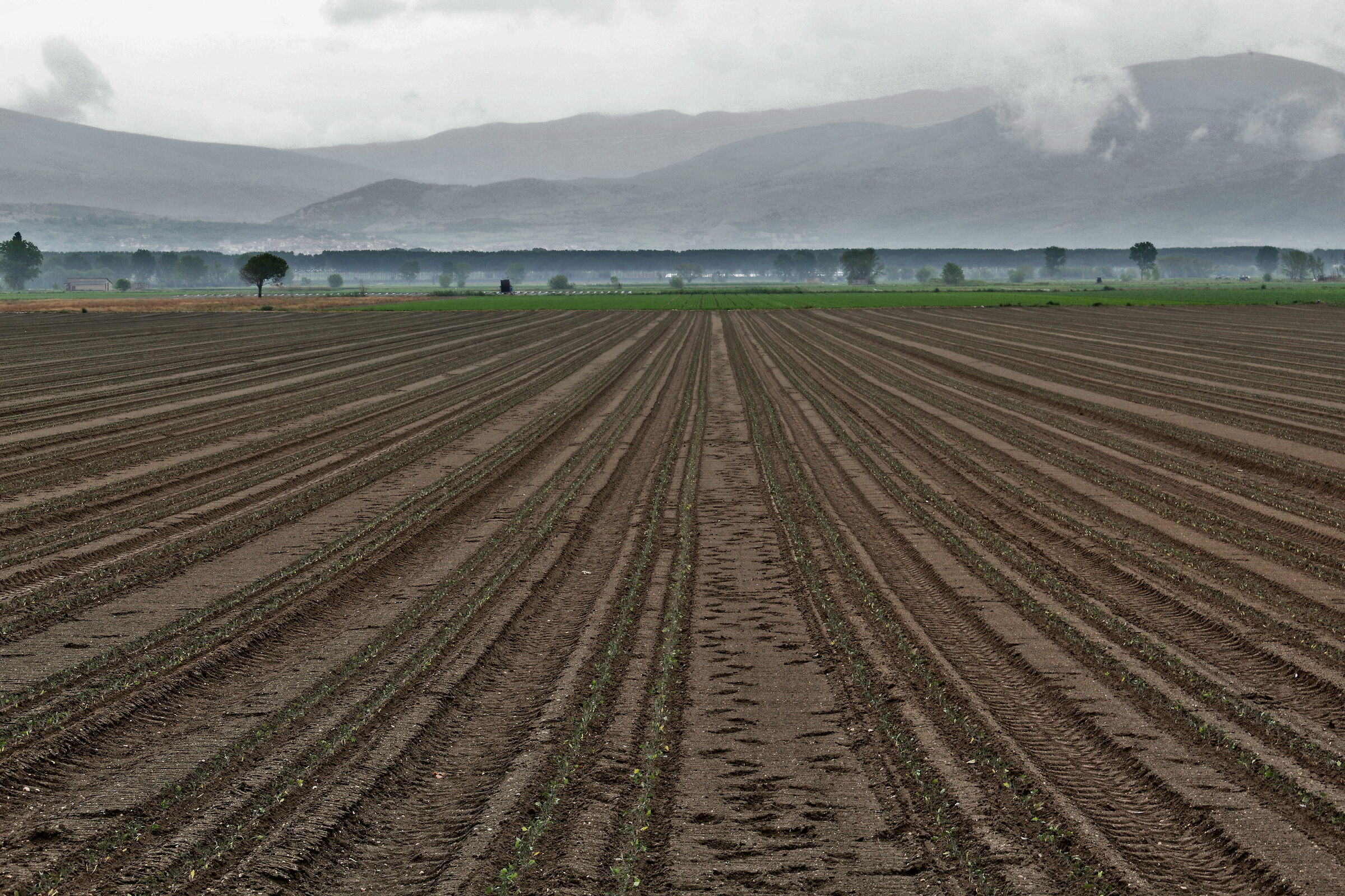 There is a time to plant