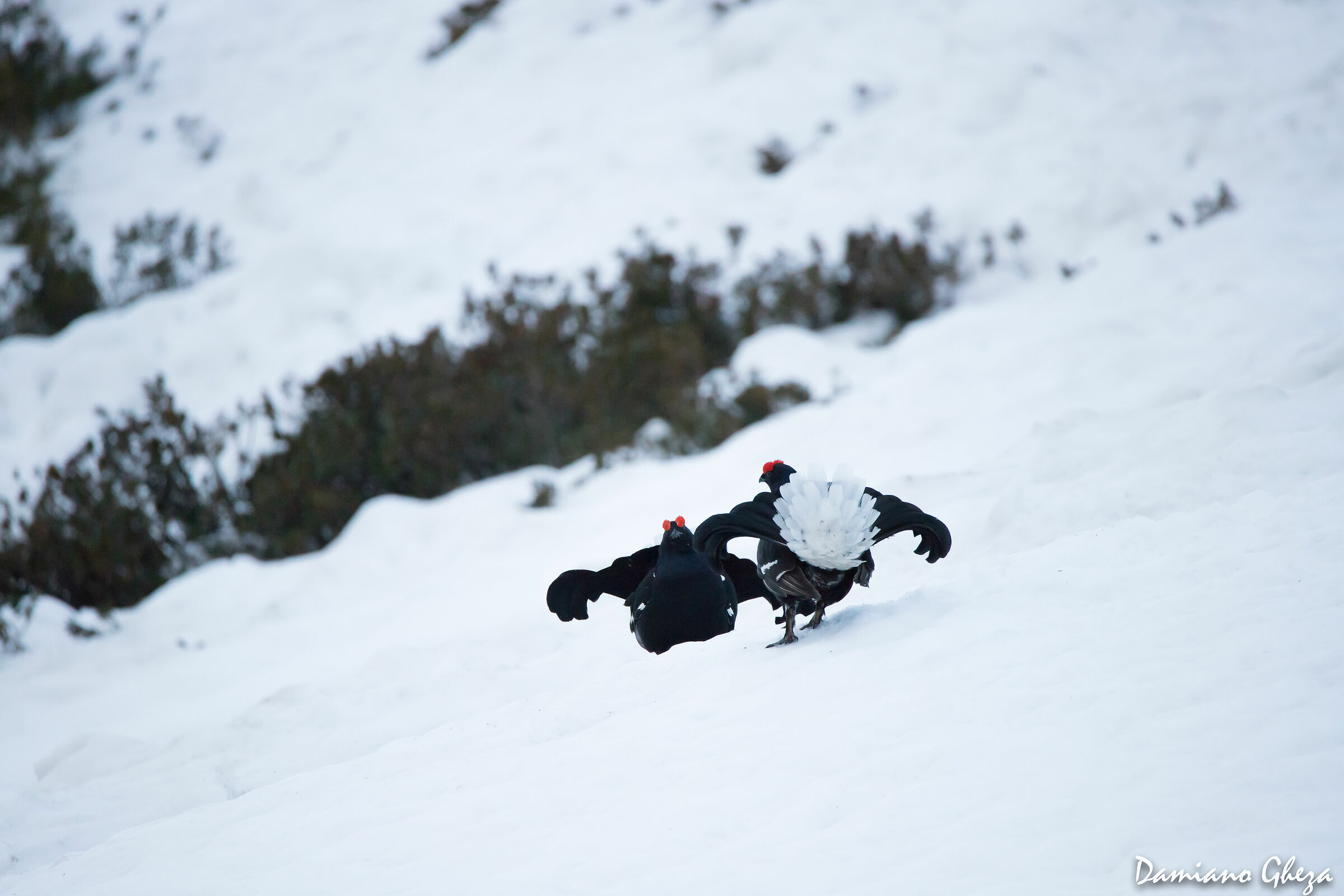 aspettando la prima mossa