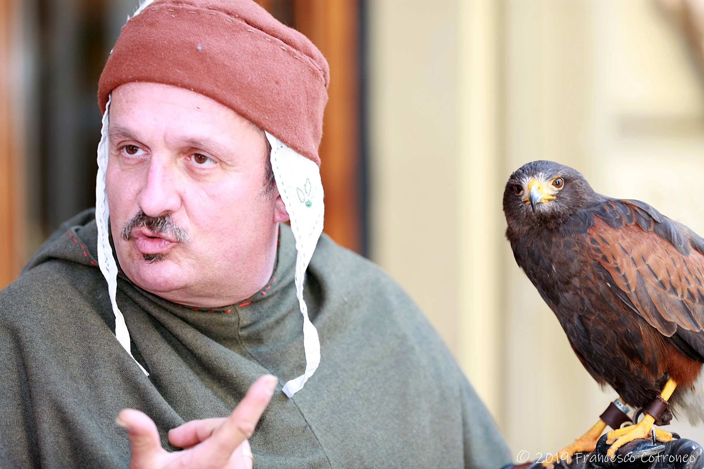 Falconiere a Villanova d'asti