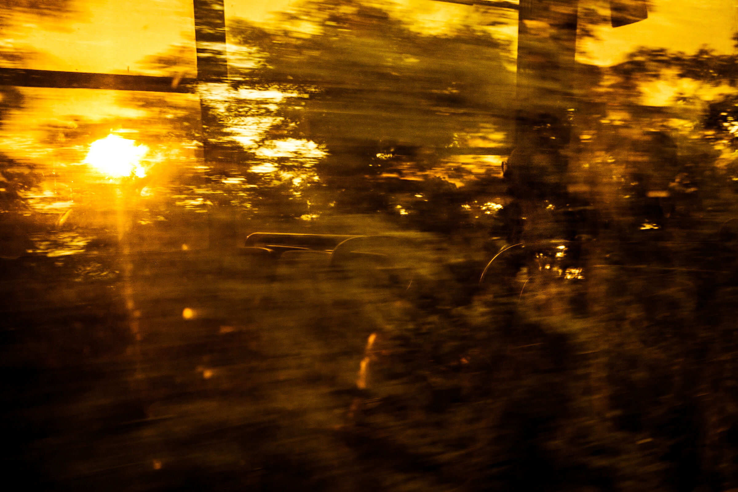 Il compagno che non ti abbandona mai