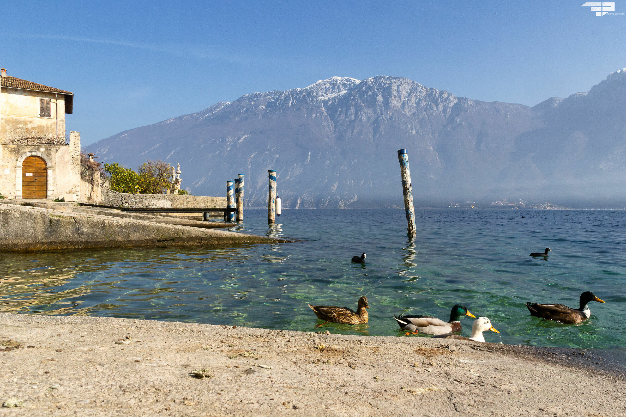Vista sul Garda