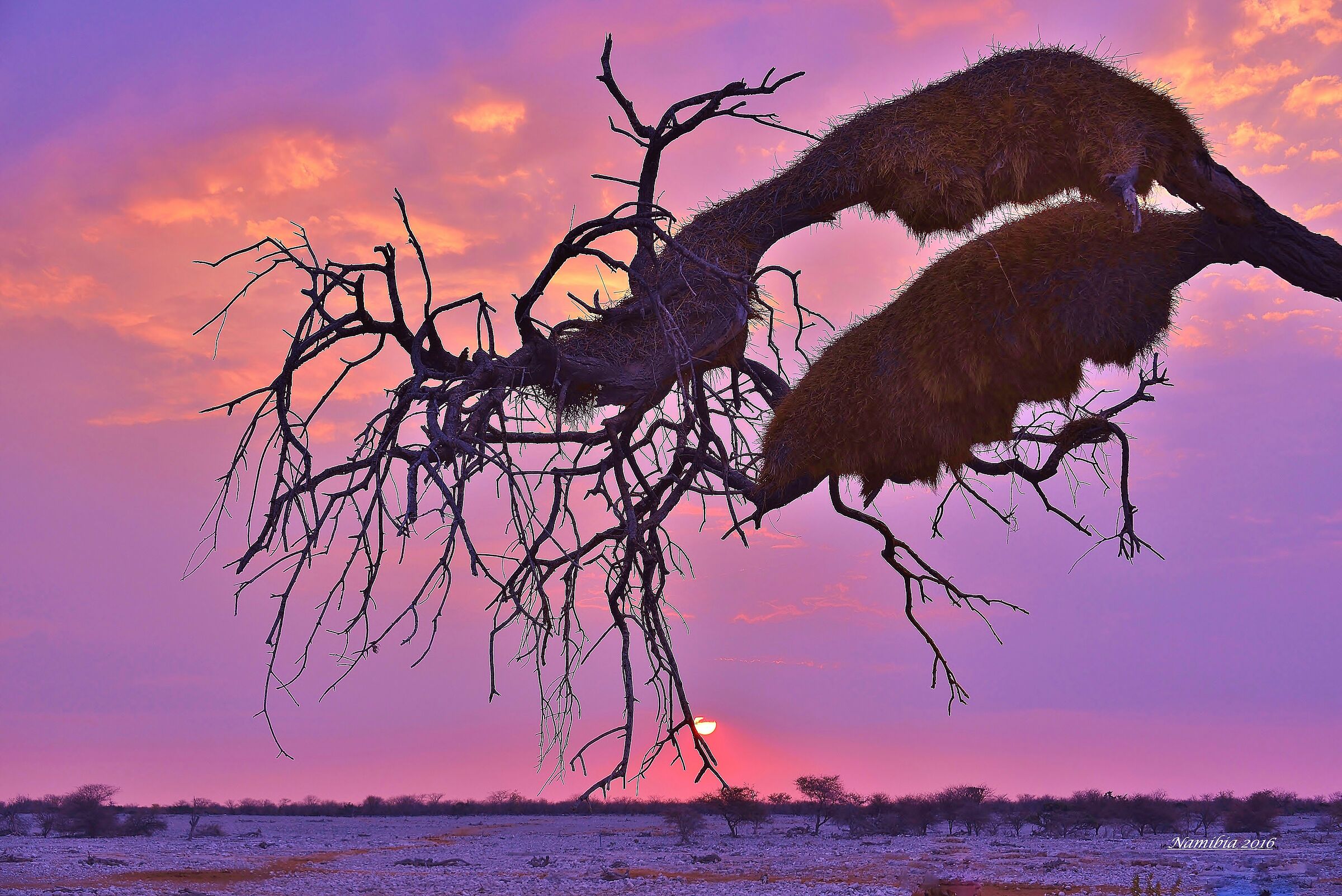 Tramonto in Namibia