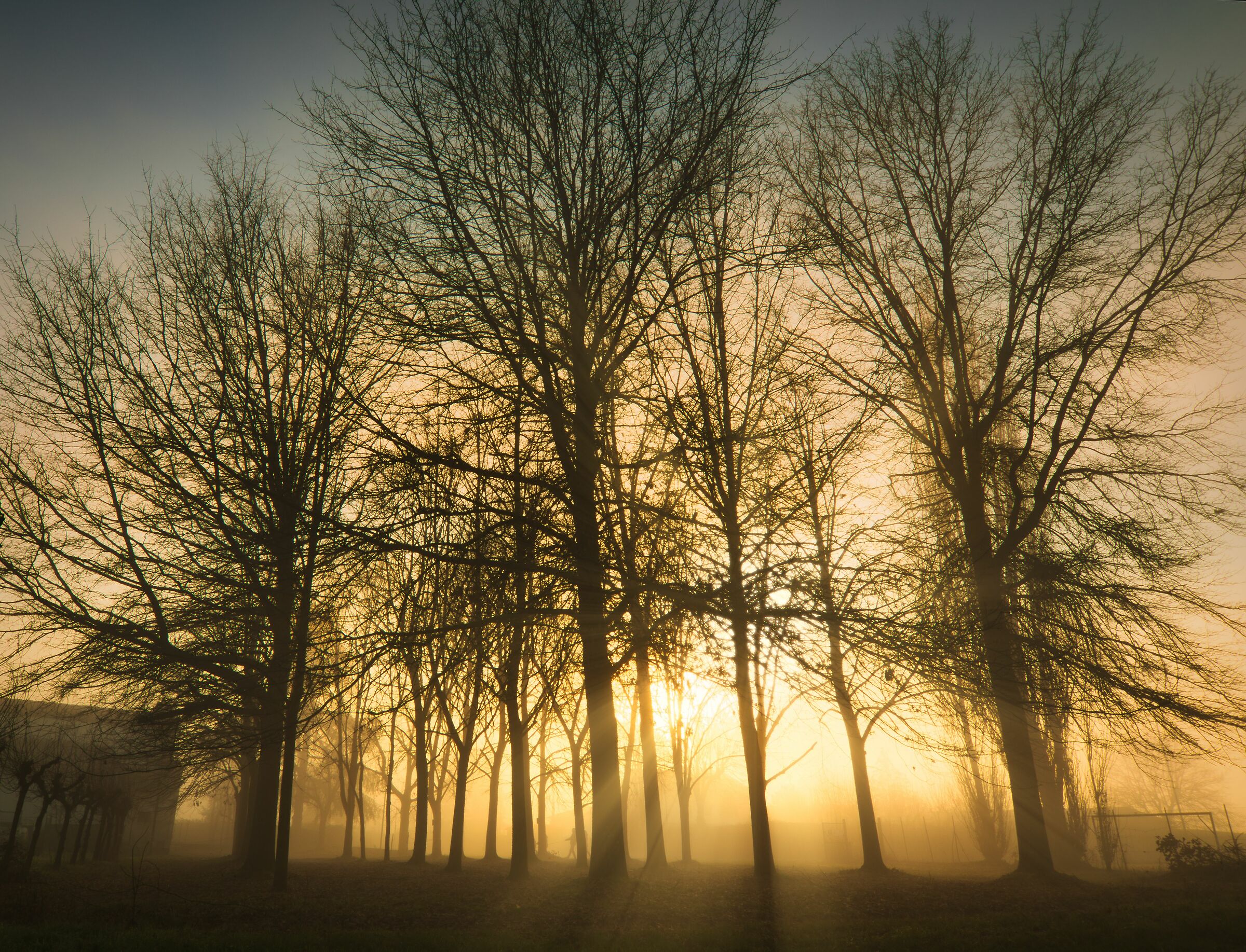 nebbia