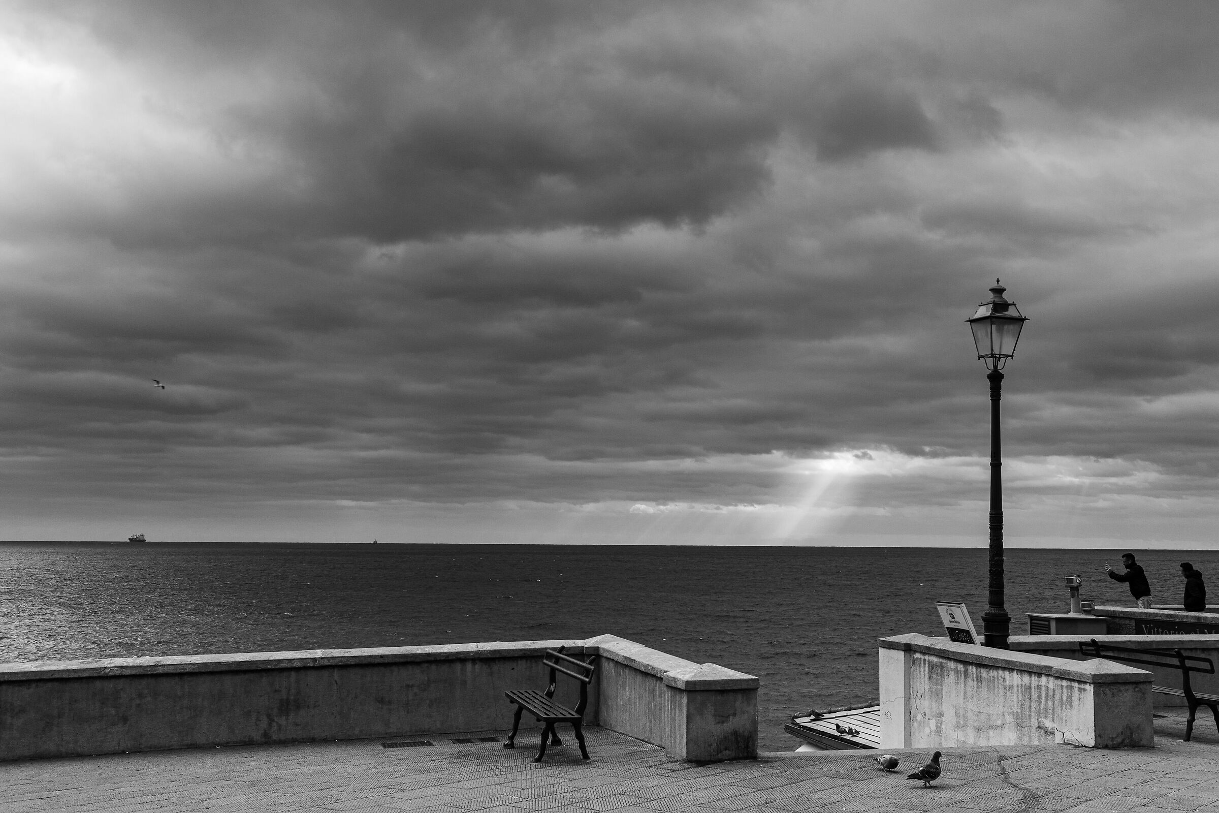 A bench, two pigeons and a ray of sunshine