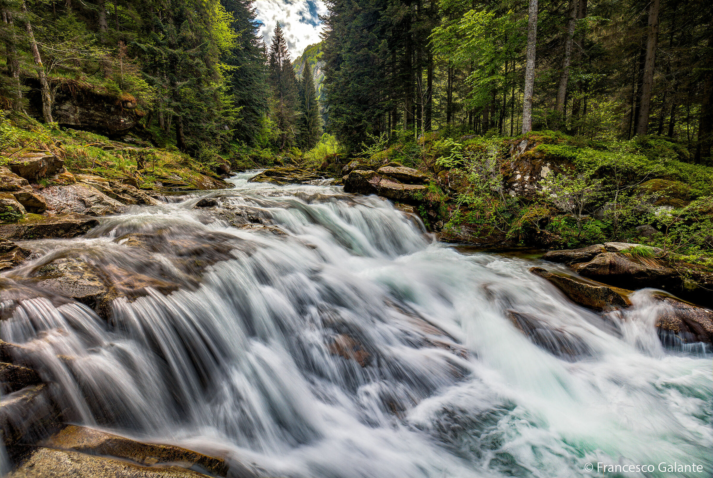 Torrente Artogna in Valle Artogna 2