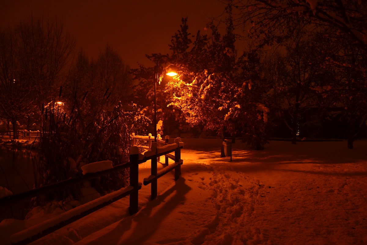 the atmosphere of the snow in the park