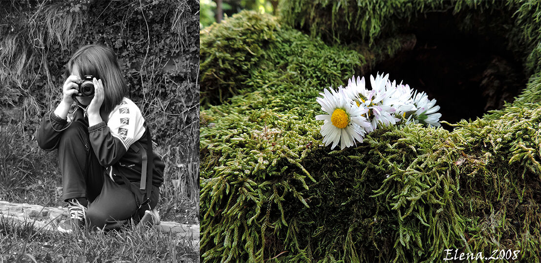 Performed by Elena 2008 and floral composition