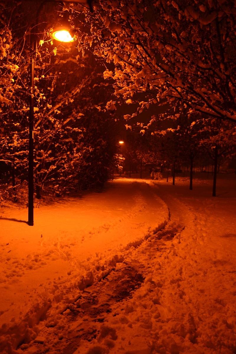 the first snow in the evening 2012