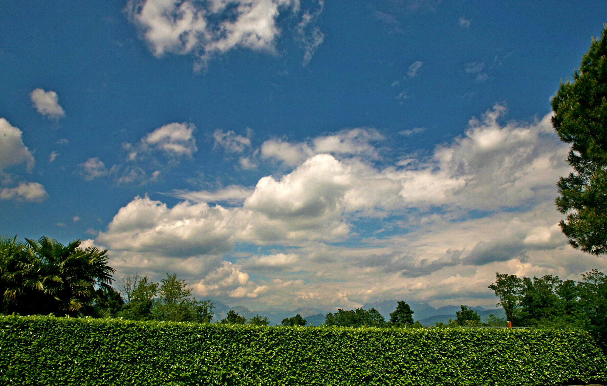 il cielo oltre la siepe