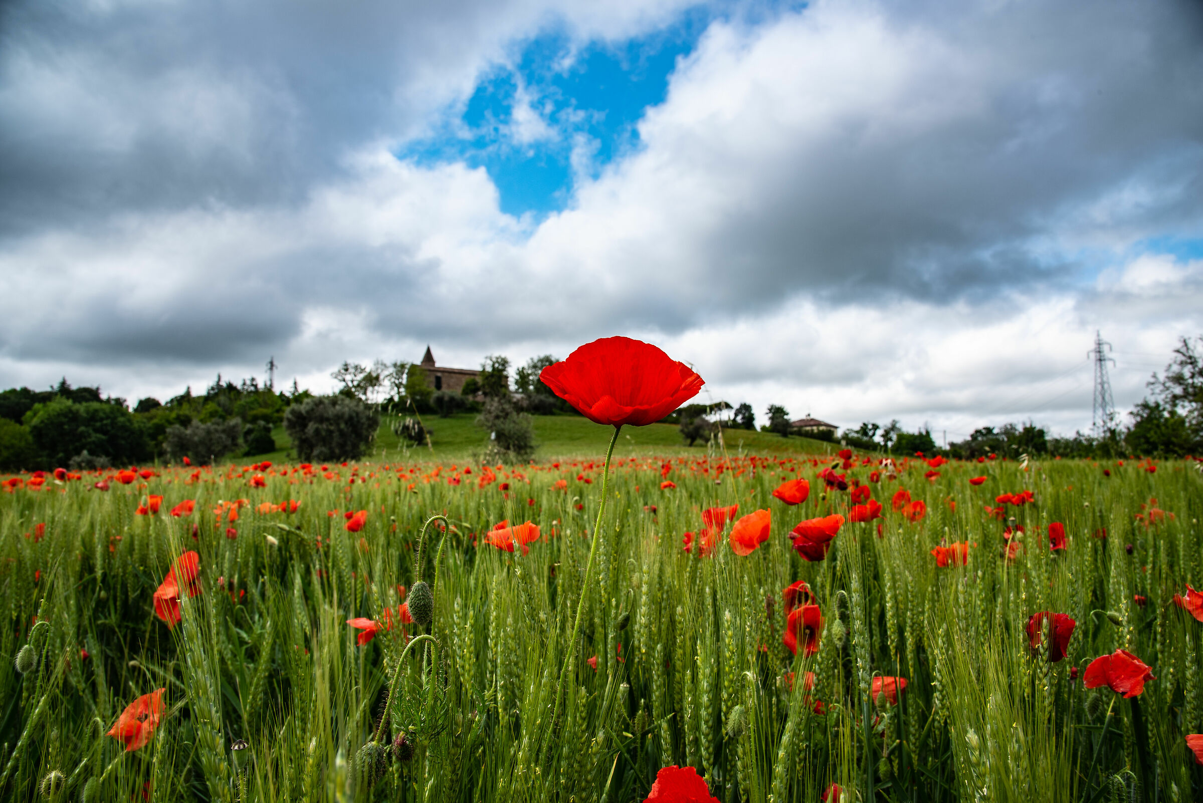 The nicest in the neighborhood.