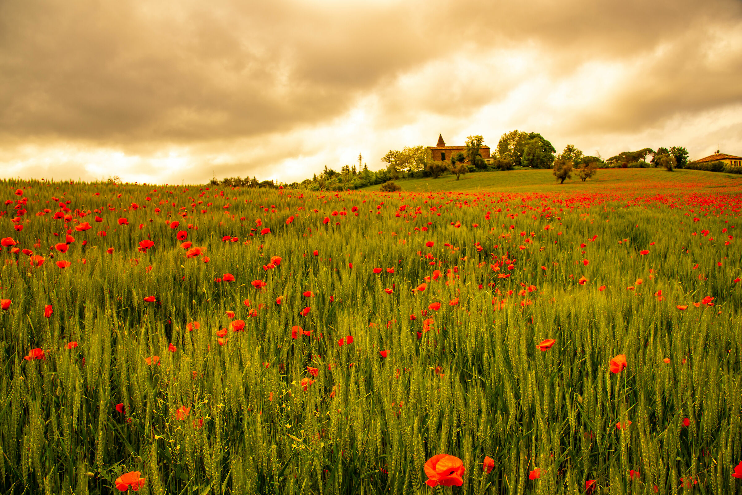 My end of the world.