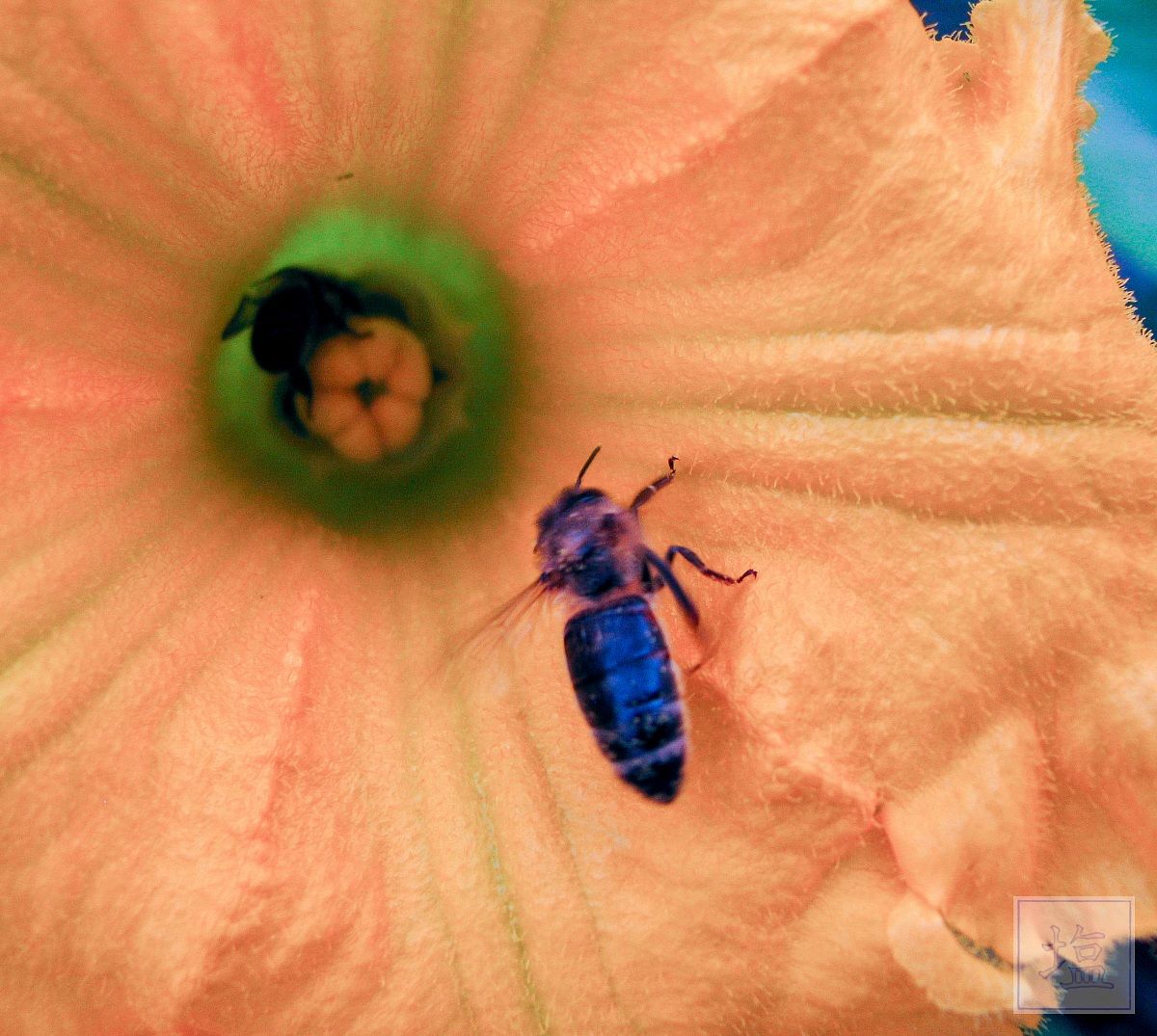 e ddamose 'na mossa!