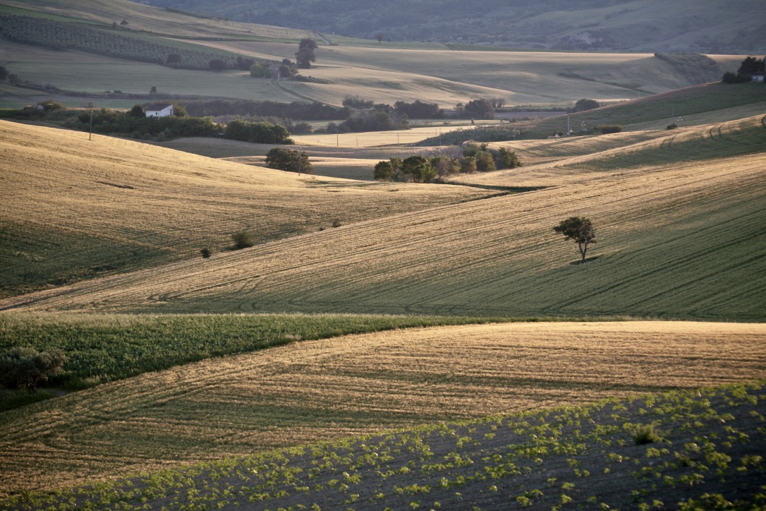 Scroll to the top floor.
