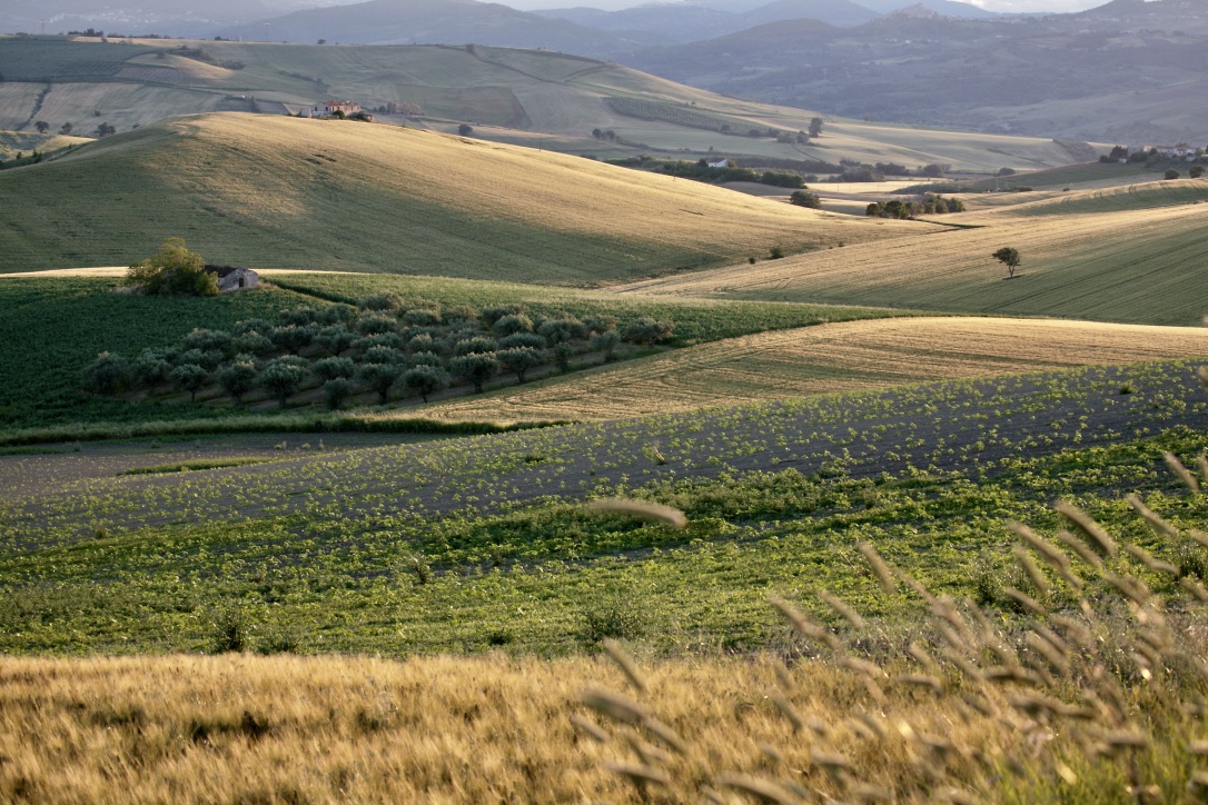 Scroll to the bottom